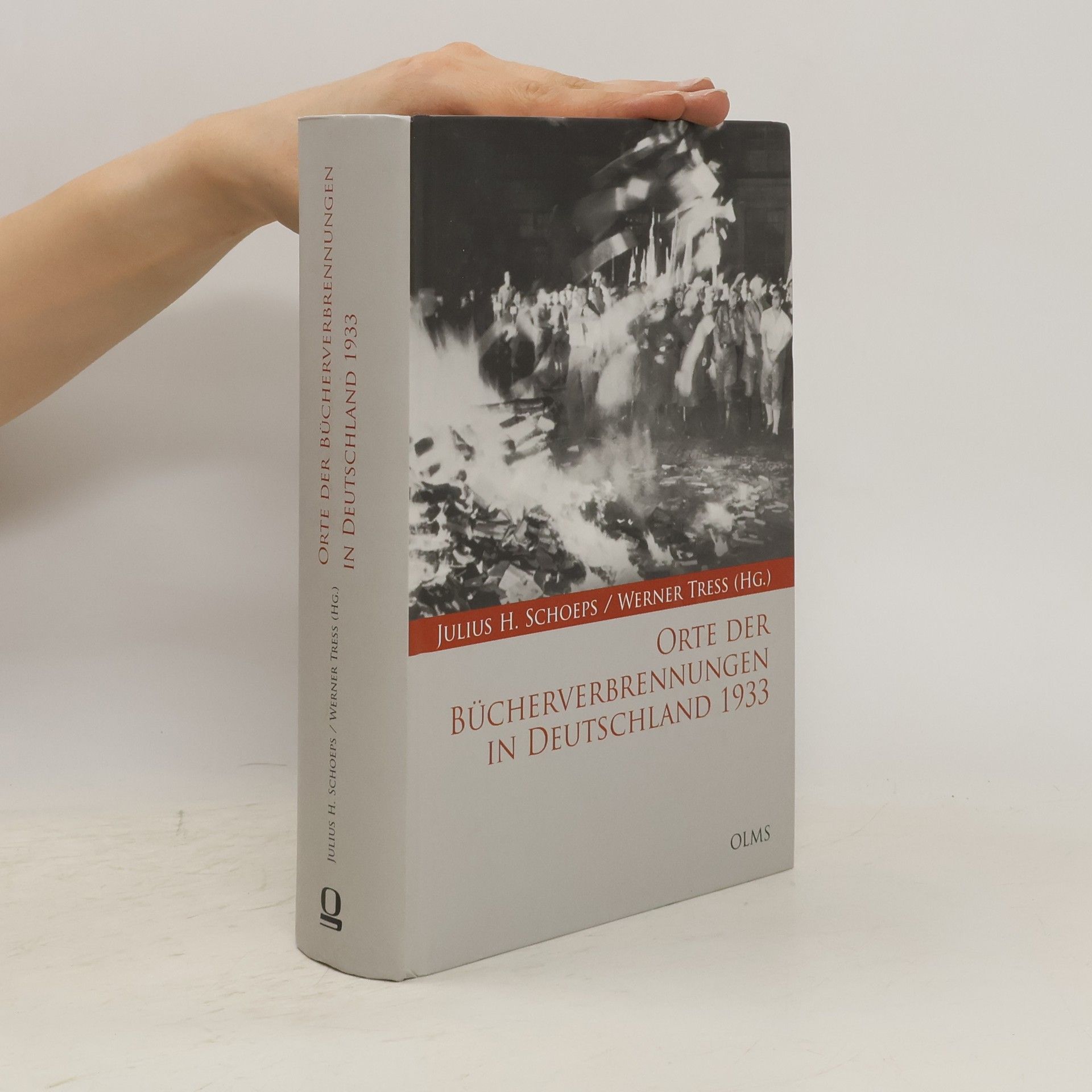 Julius H. Schoeps Orte der Bücherverbrennungen in Deutschland 1933