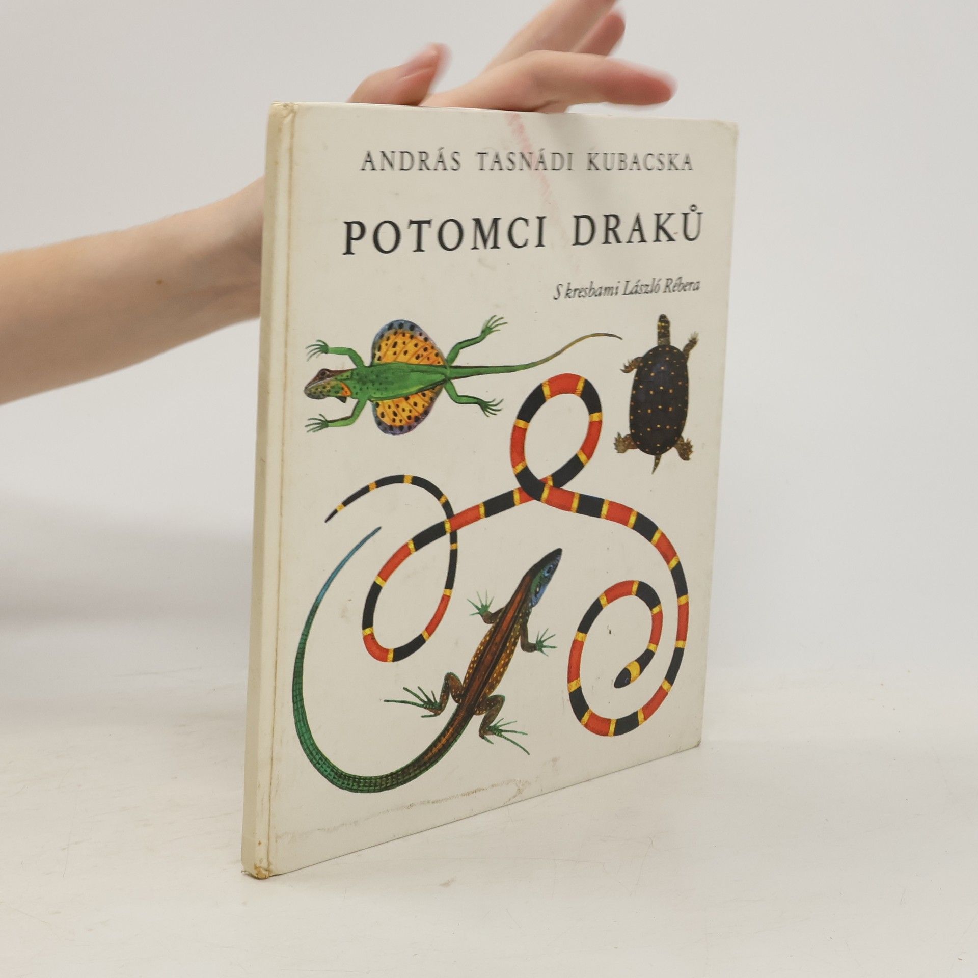 András Tasnádi Kubacska Potomci draků