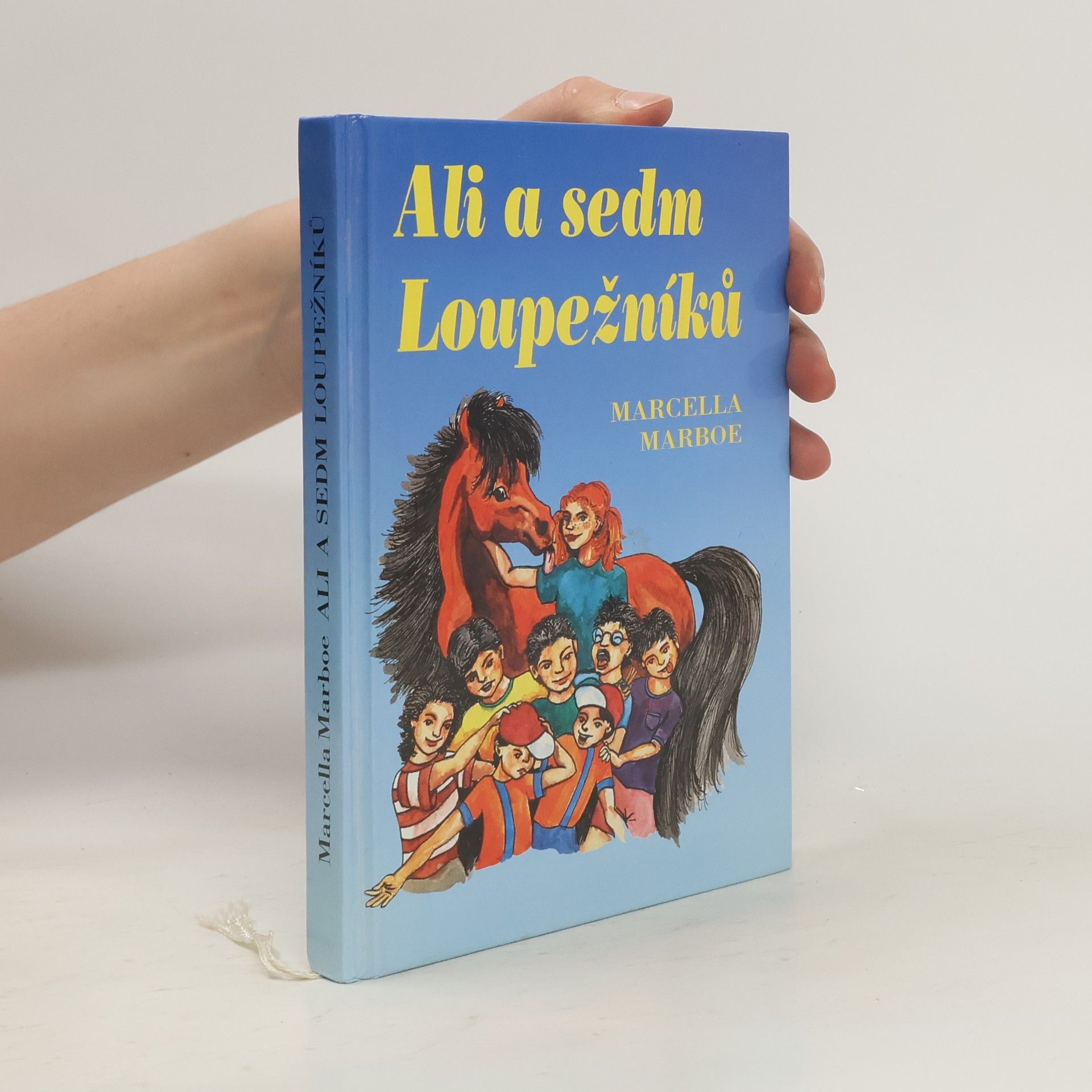 Marcella Marboe Ali a sedm loupežníků