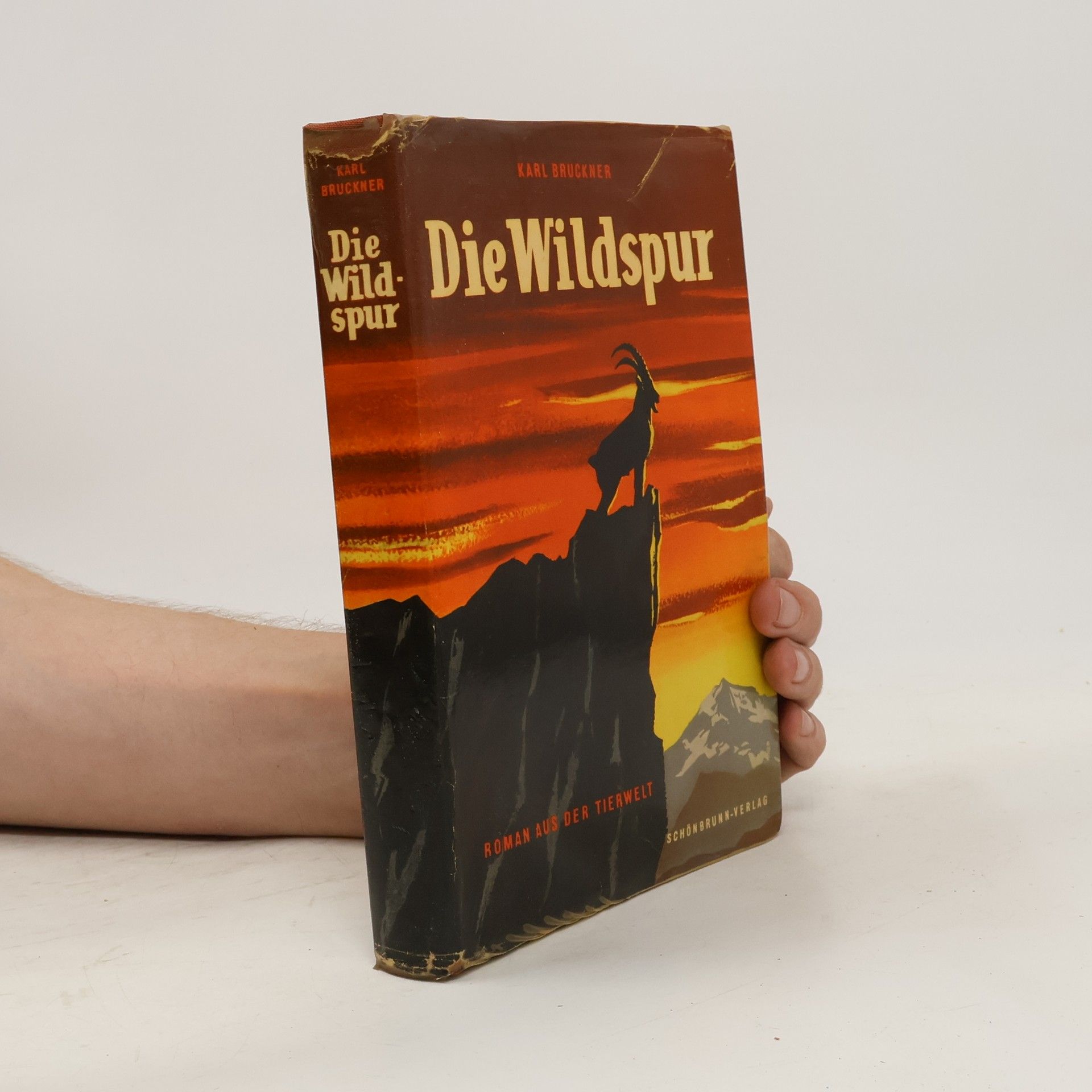 Karl Bruckner Die Wildspur