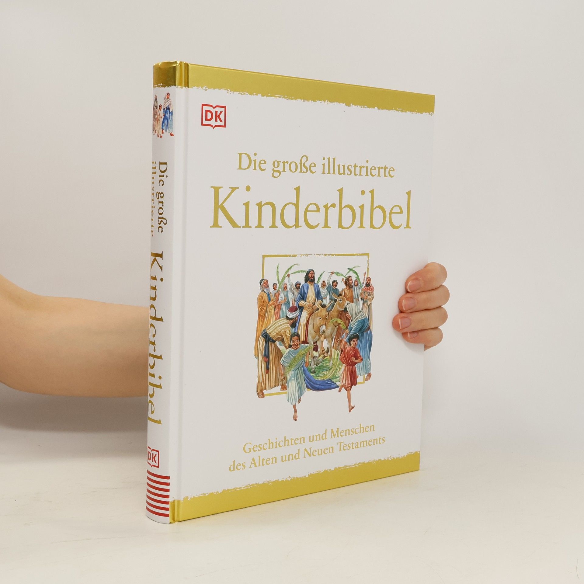 Claude Bernard Costecalde Die große illustrierte Kinderbibel
