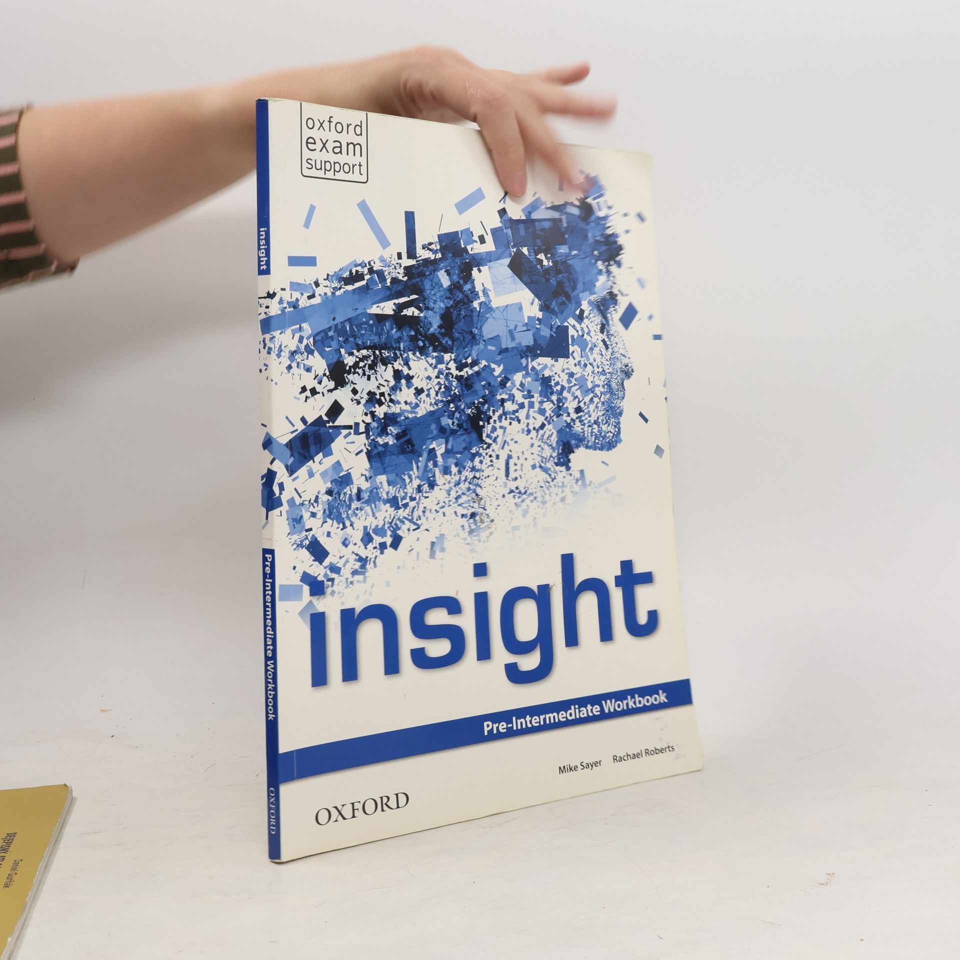 Mike Sayer Insight : Pre-intermediate Workbook