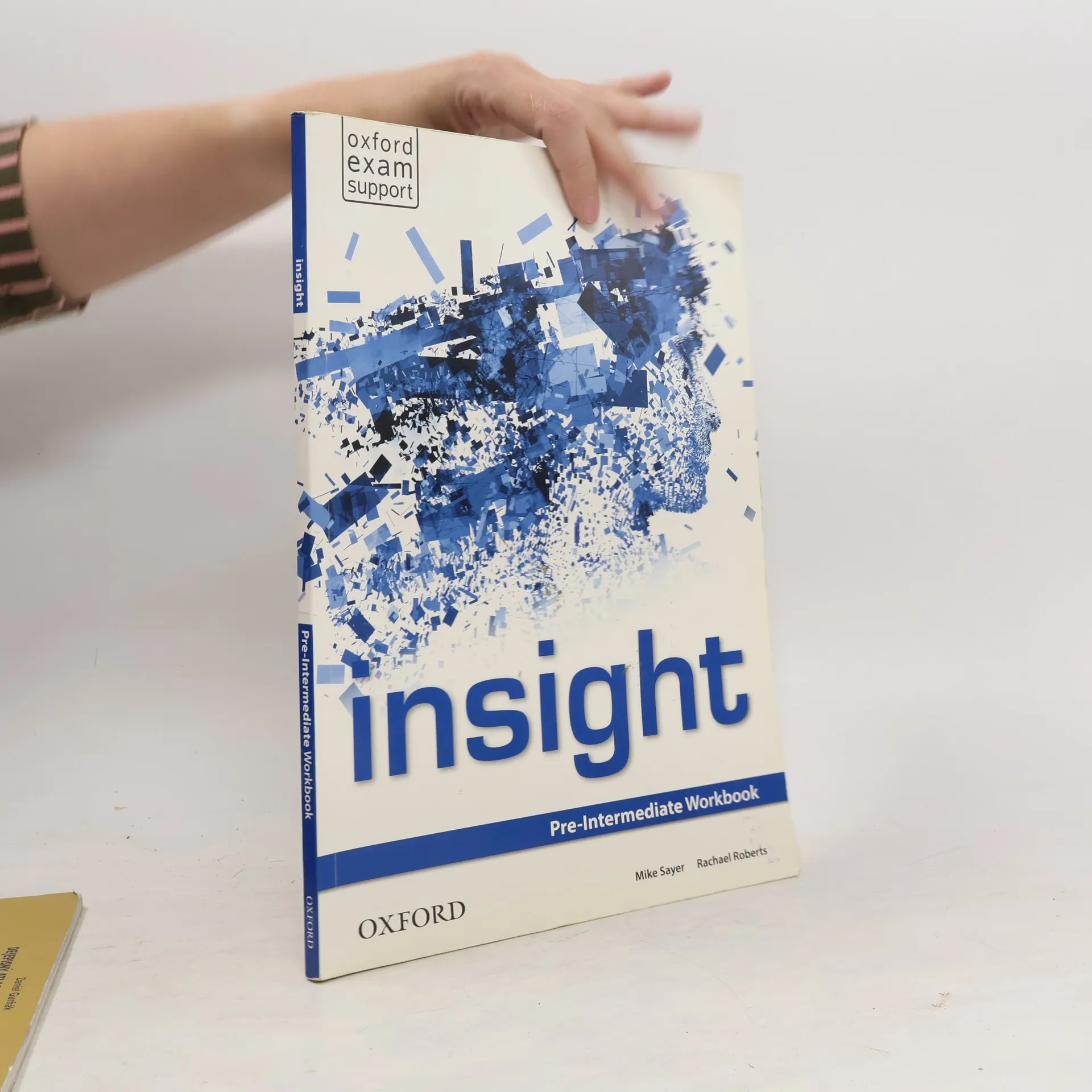 Insight : Pre-intermediate Workbook | Kniha | mäkká | Mike Sayer | EN
