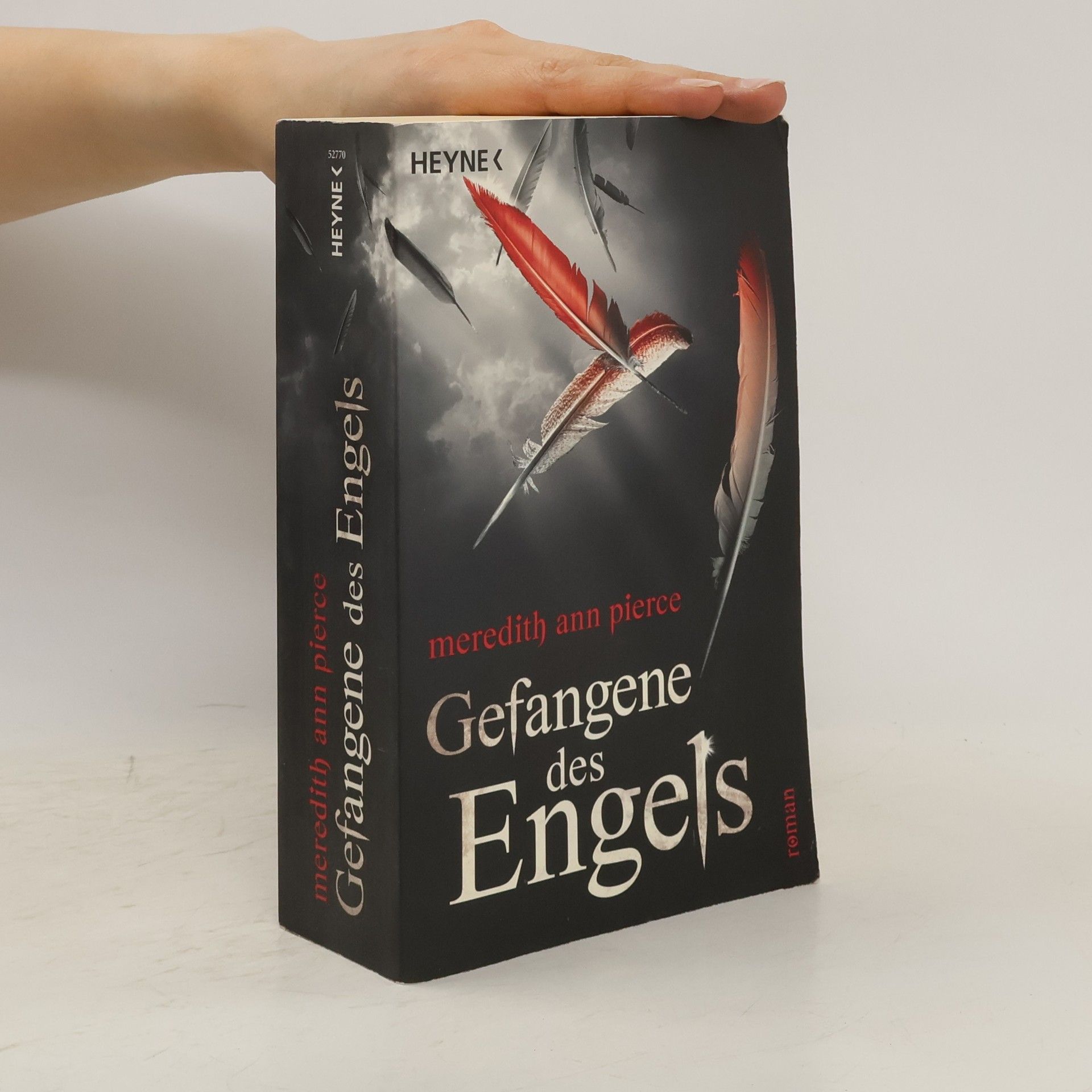 M. A. Pierce Gefangene des Engels. Roman