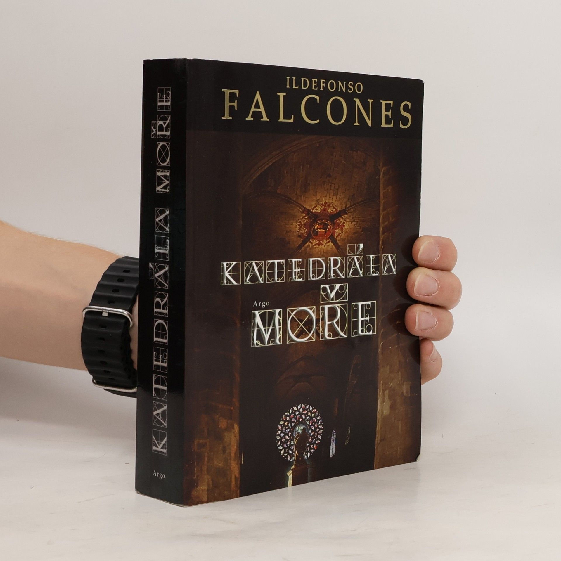 Ildefonso Falcones Katedrála moře