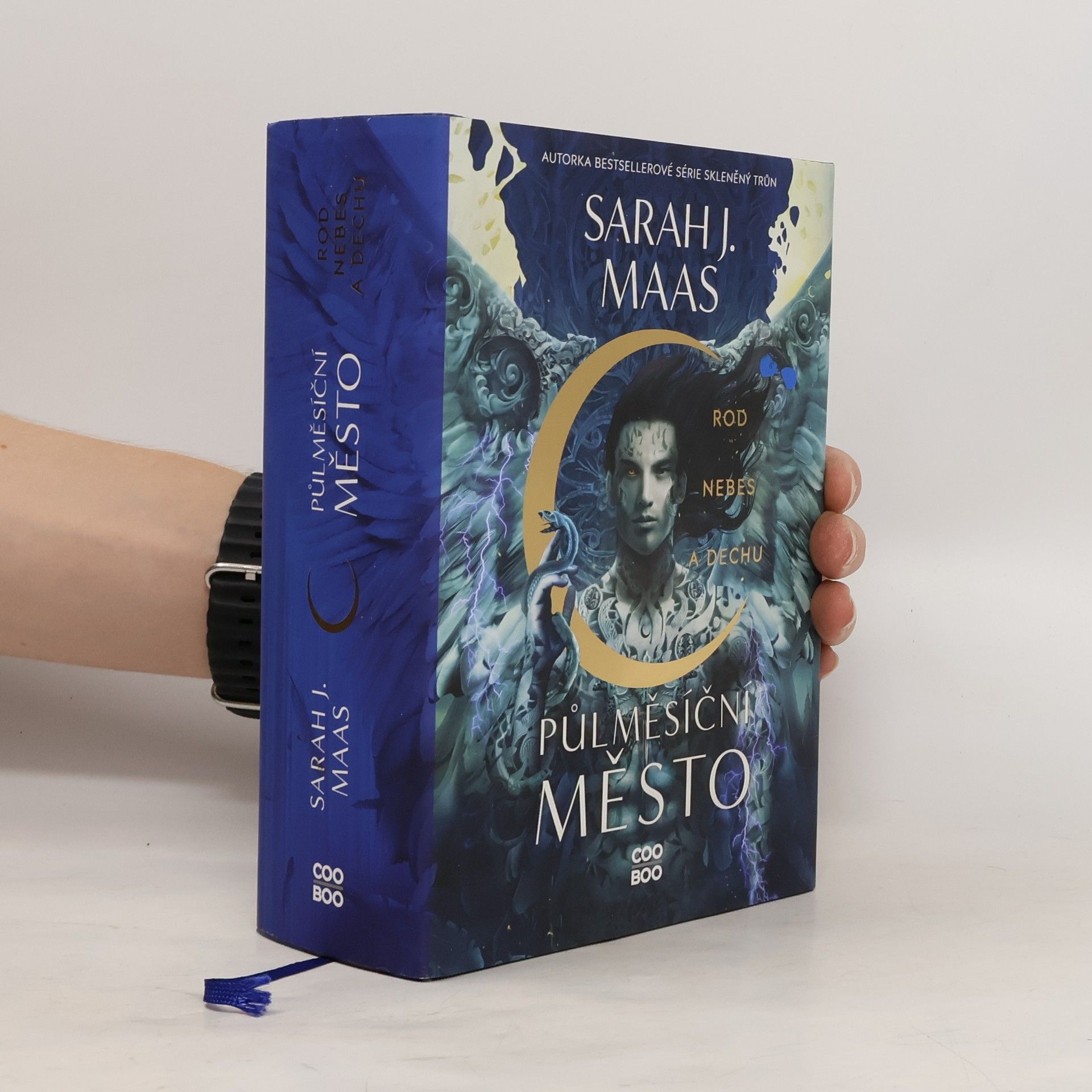 Sarah J. Maas Rod nebes a dechu
