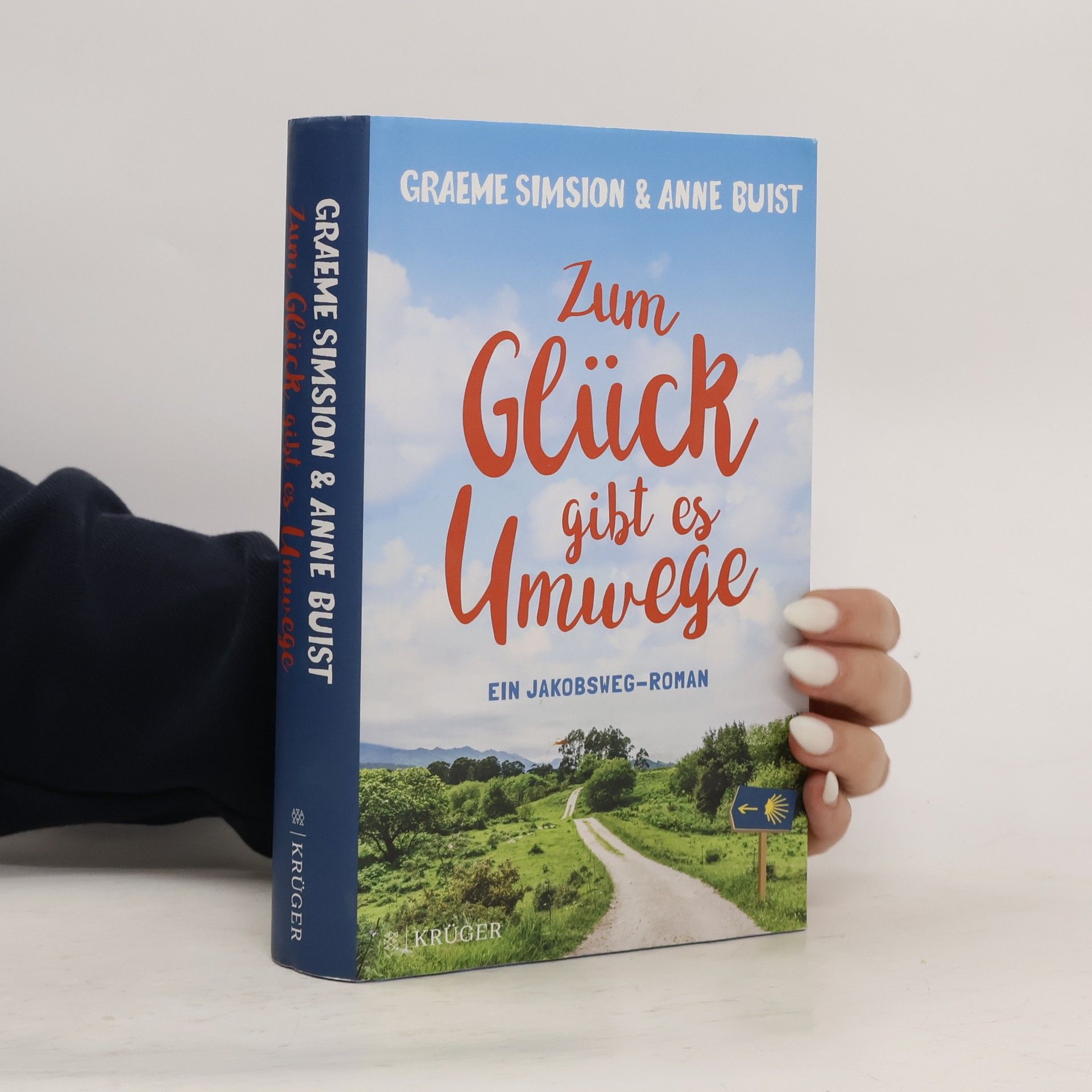Graeme Simsion Zum Glück gibt es Umwege