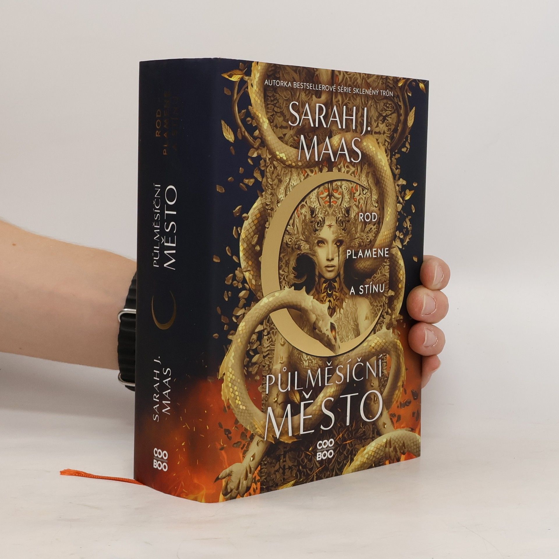 Sarah J. Maas Rod plamene a stínu