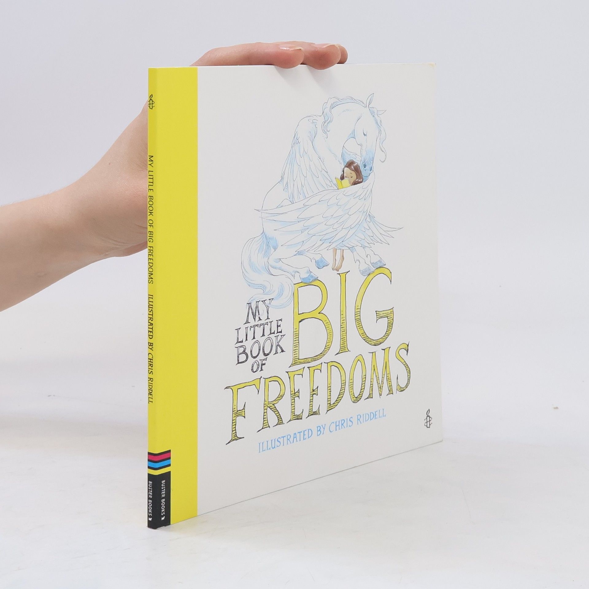 Chris Riddell My Little Book of Big Freedoms