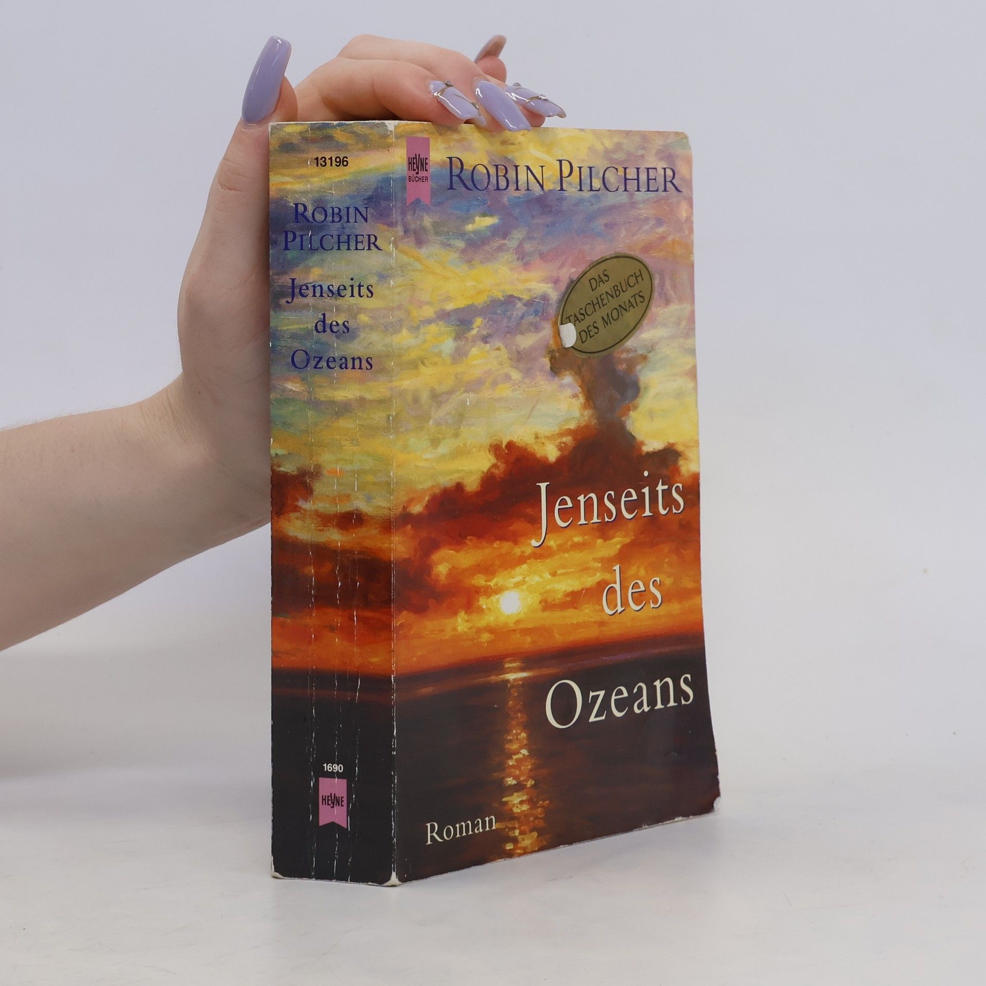 Robin Pilcher Jenseits des Ozeans.