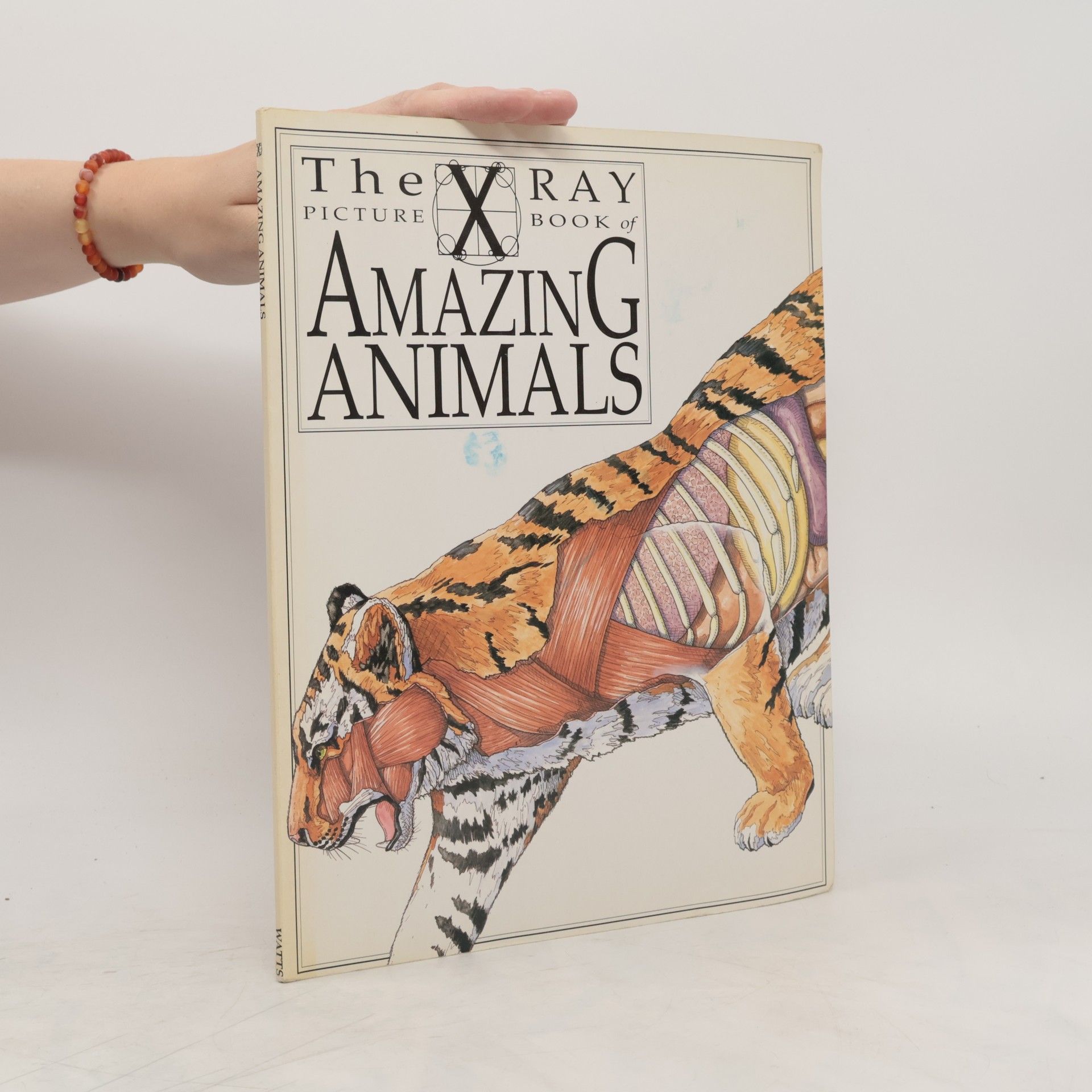 Gerald Legg The X-ray Picture Book of Amazing Animals