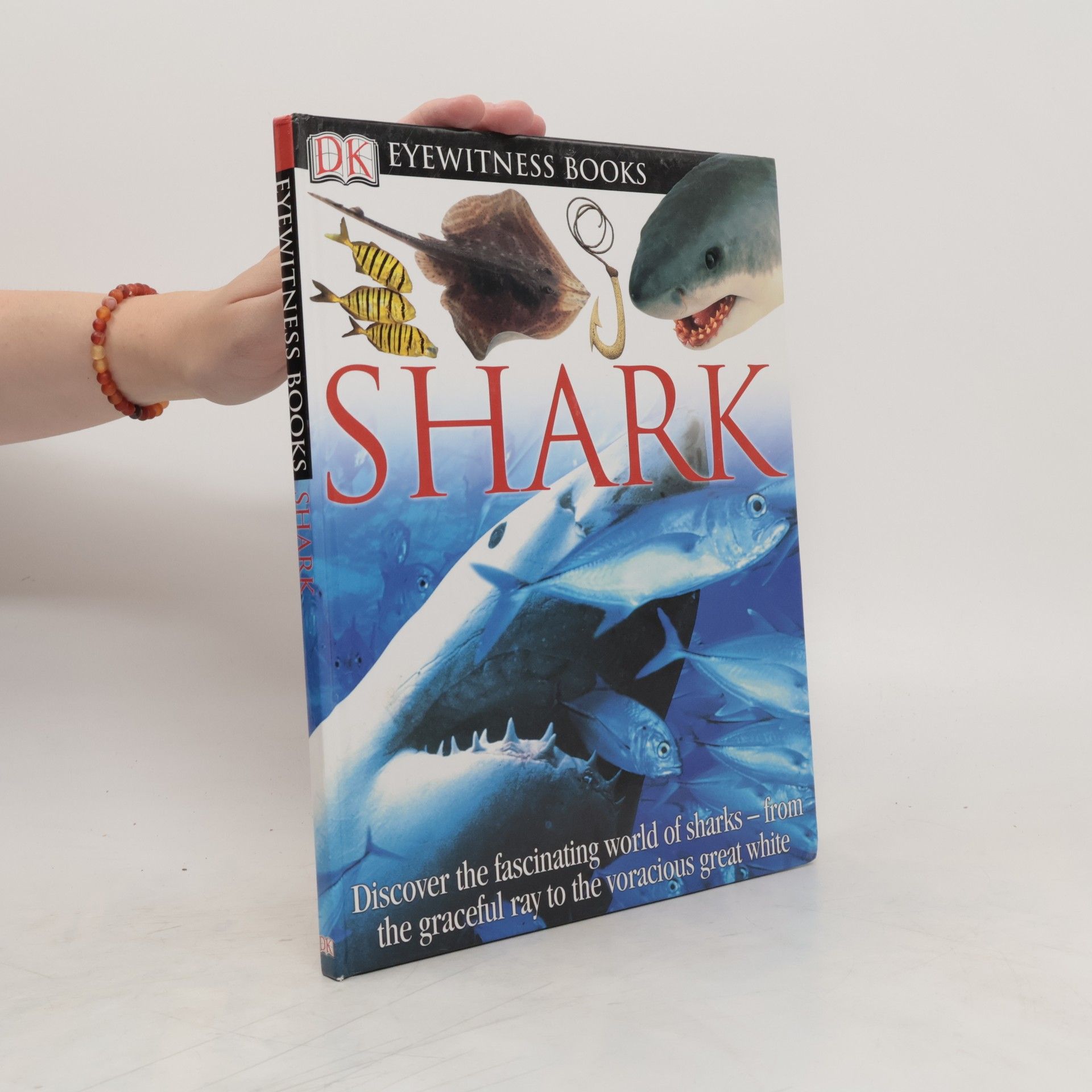 Miranda MacQuitty Shark
