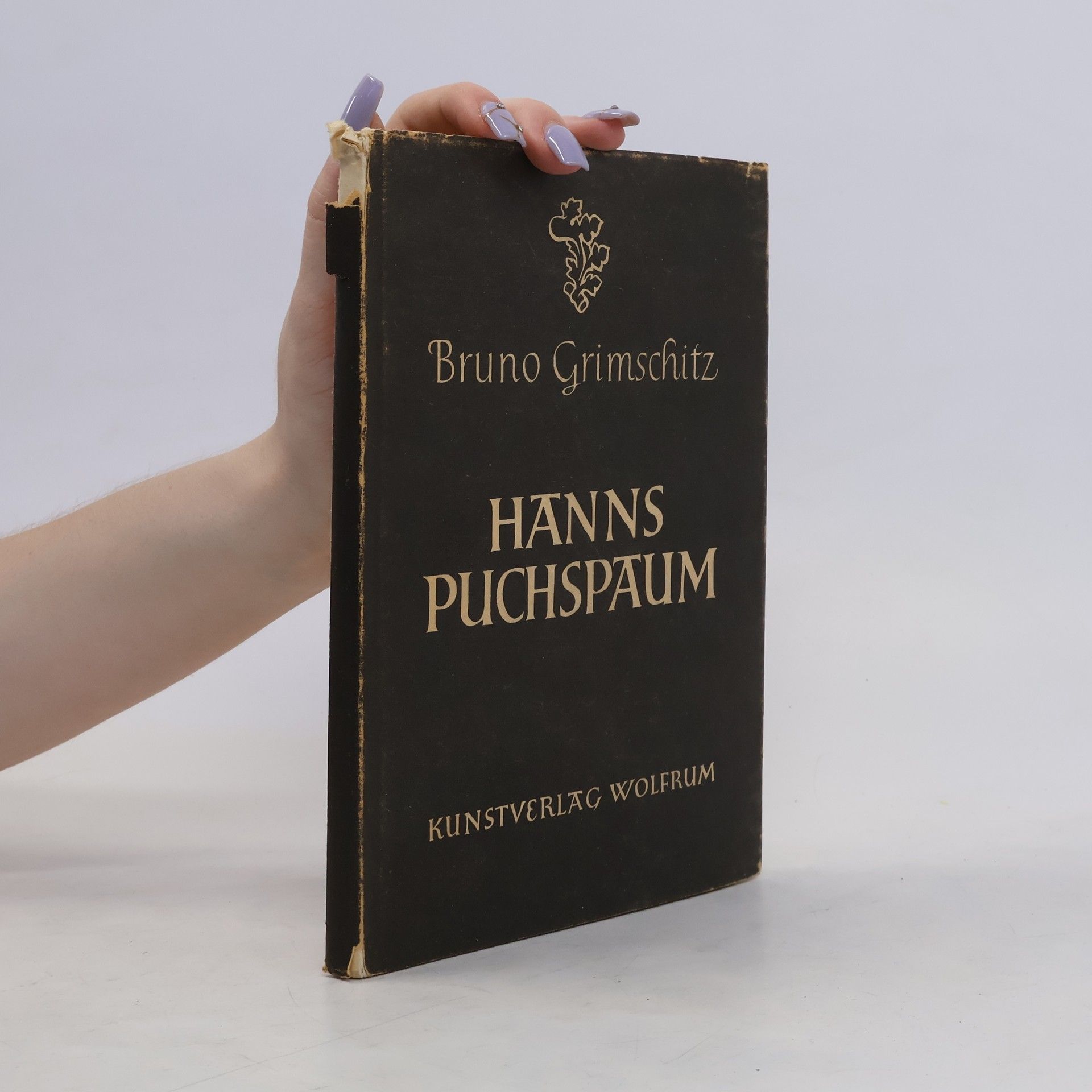Bruno Grimschitz Hanns Puchspaum