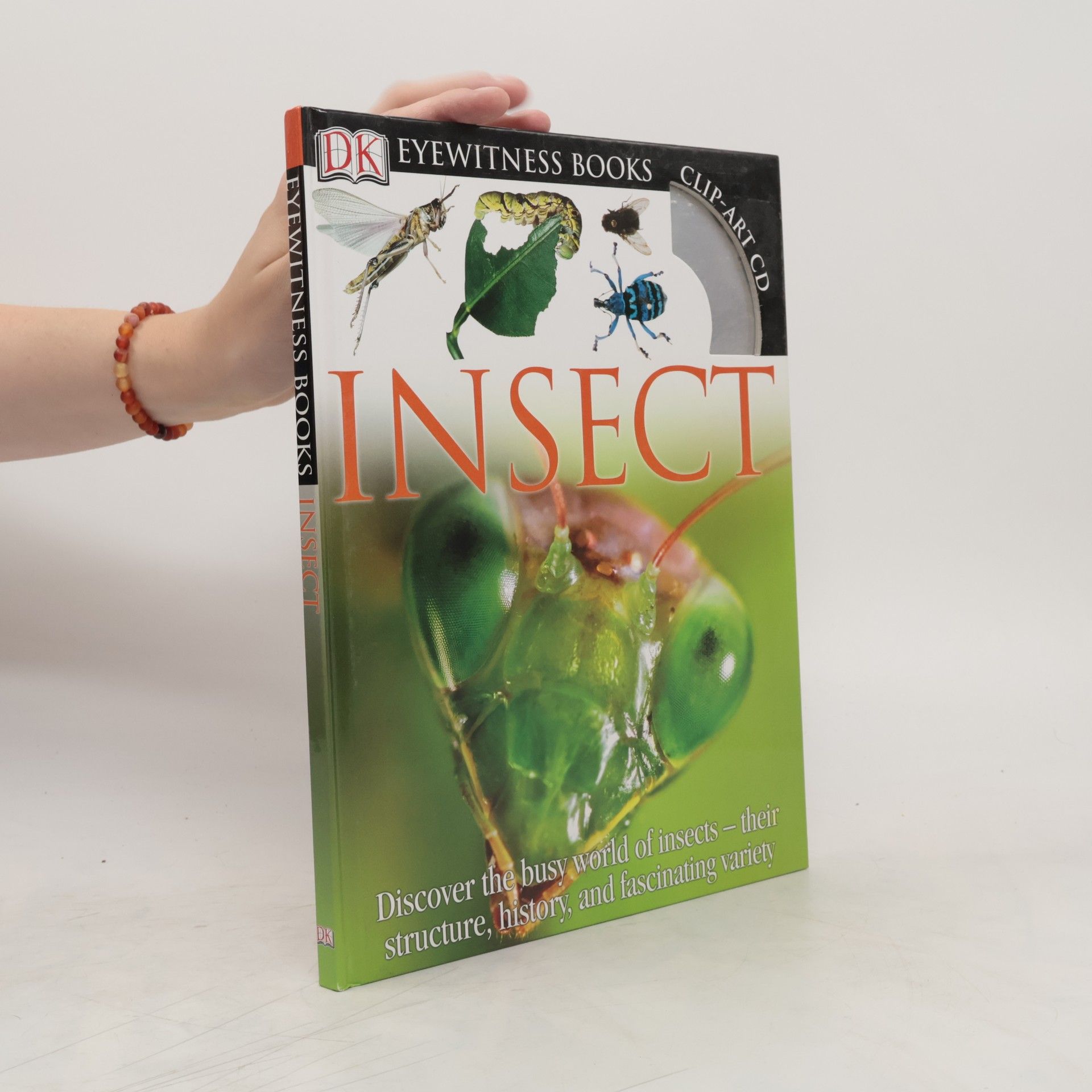 Laurence Mound Insect
