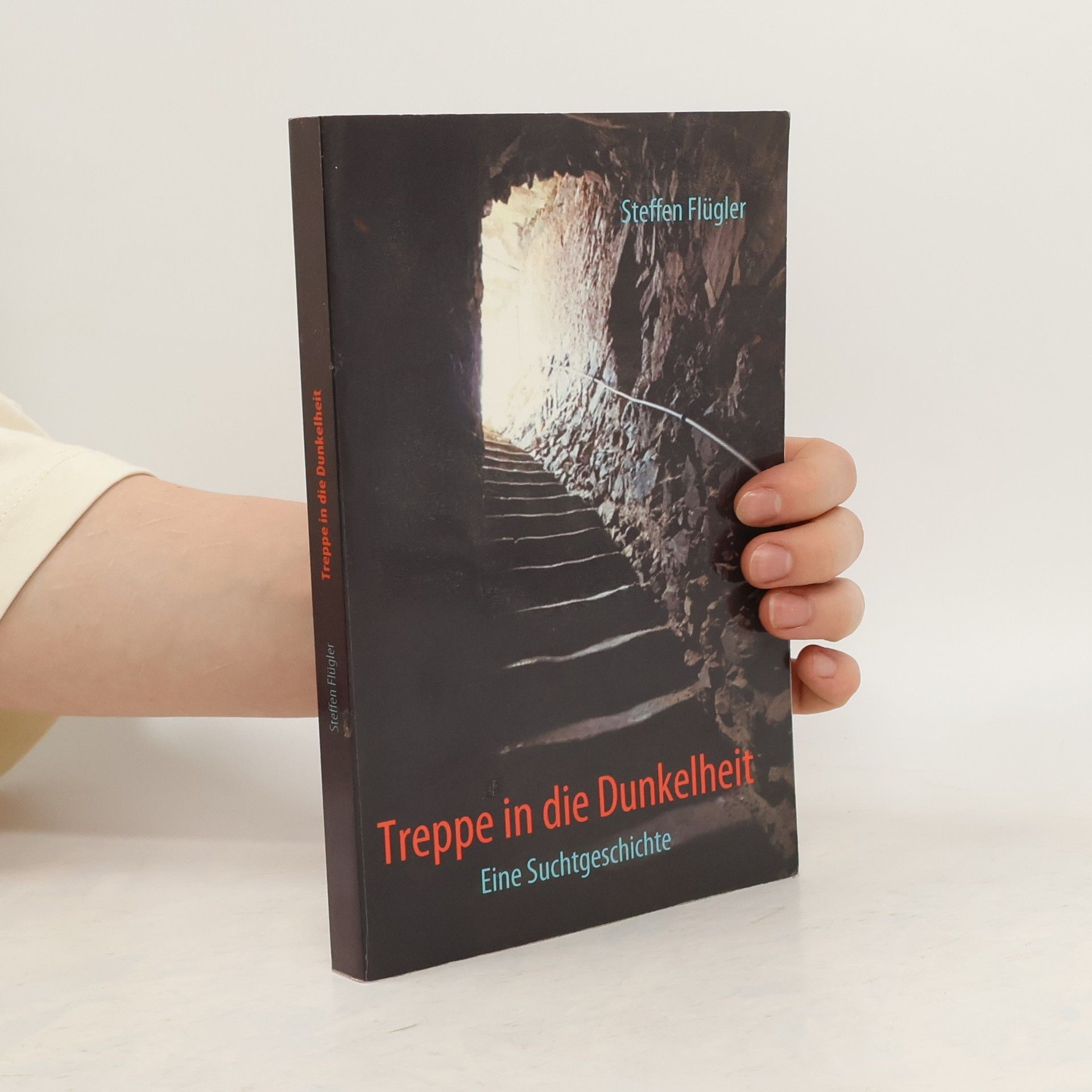Steffen Flügler Treppe in die Dunkelheit. Eine Suchtgeschichte