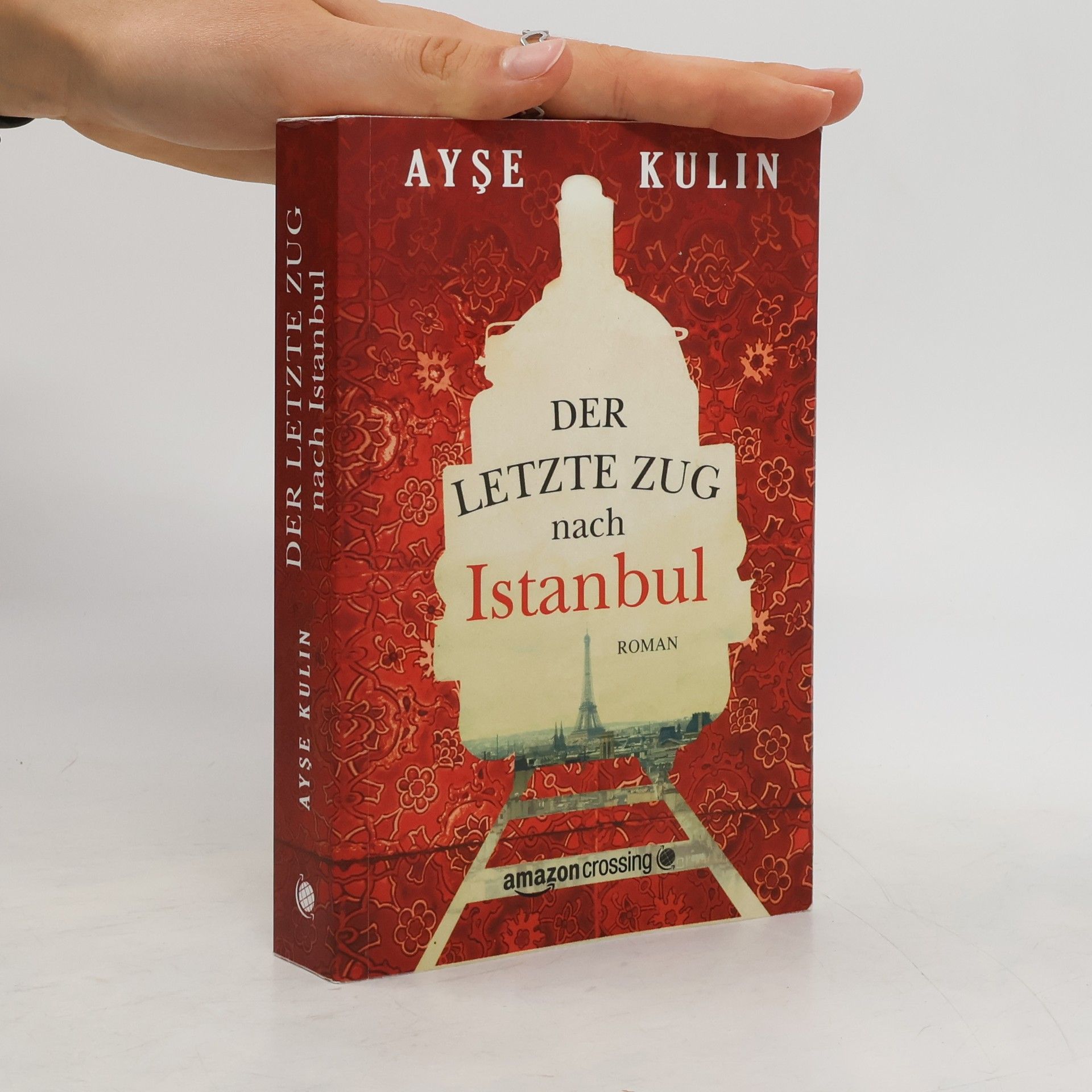 Ayşe Kulin Der letzte Zug nach Istanbul