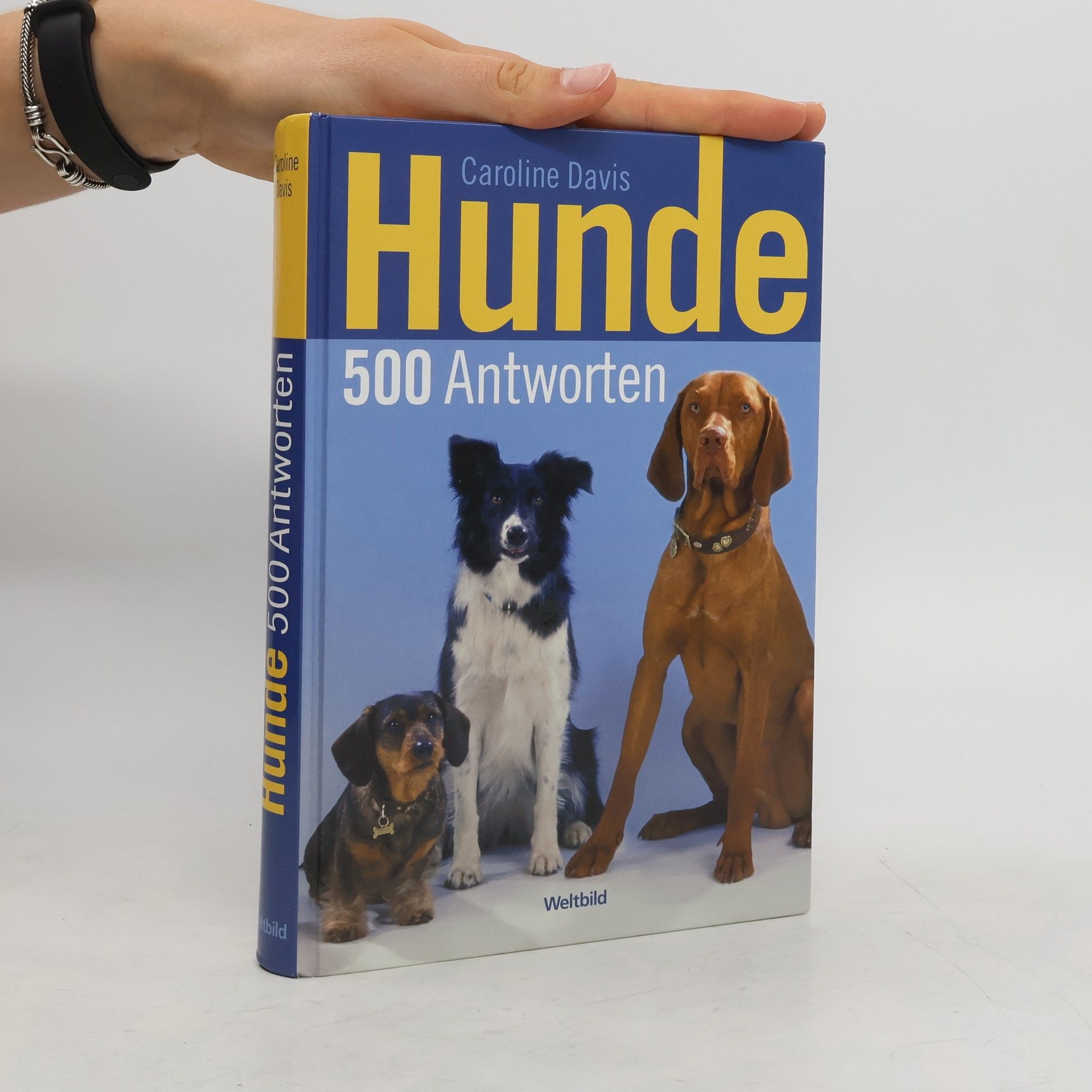 Caroline Davis Hunde