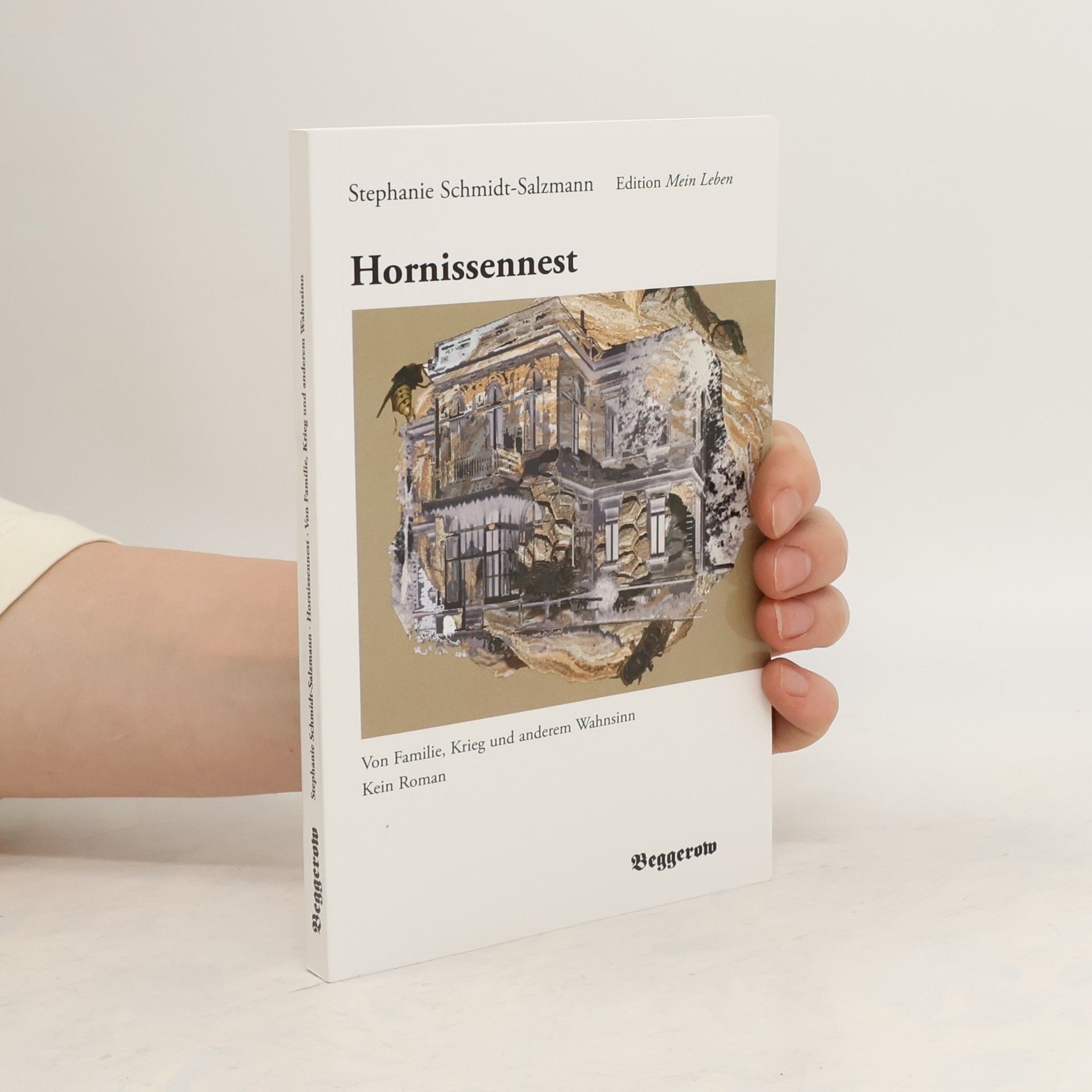 Stephanie Schmidt-Salzmann Hornissennest