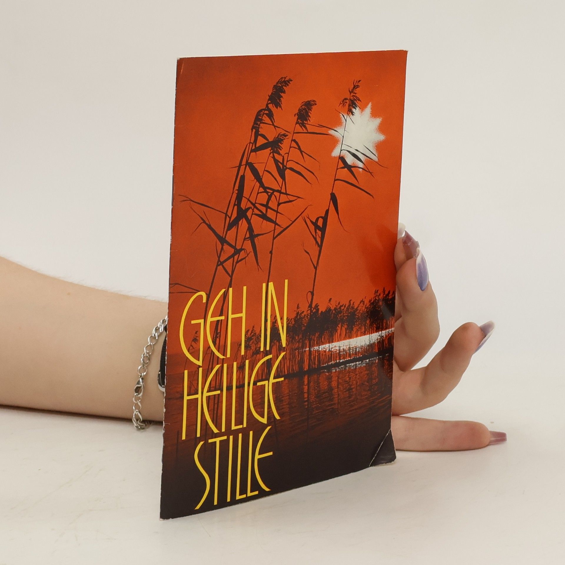 Kate Walker Geh in heilige Stille