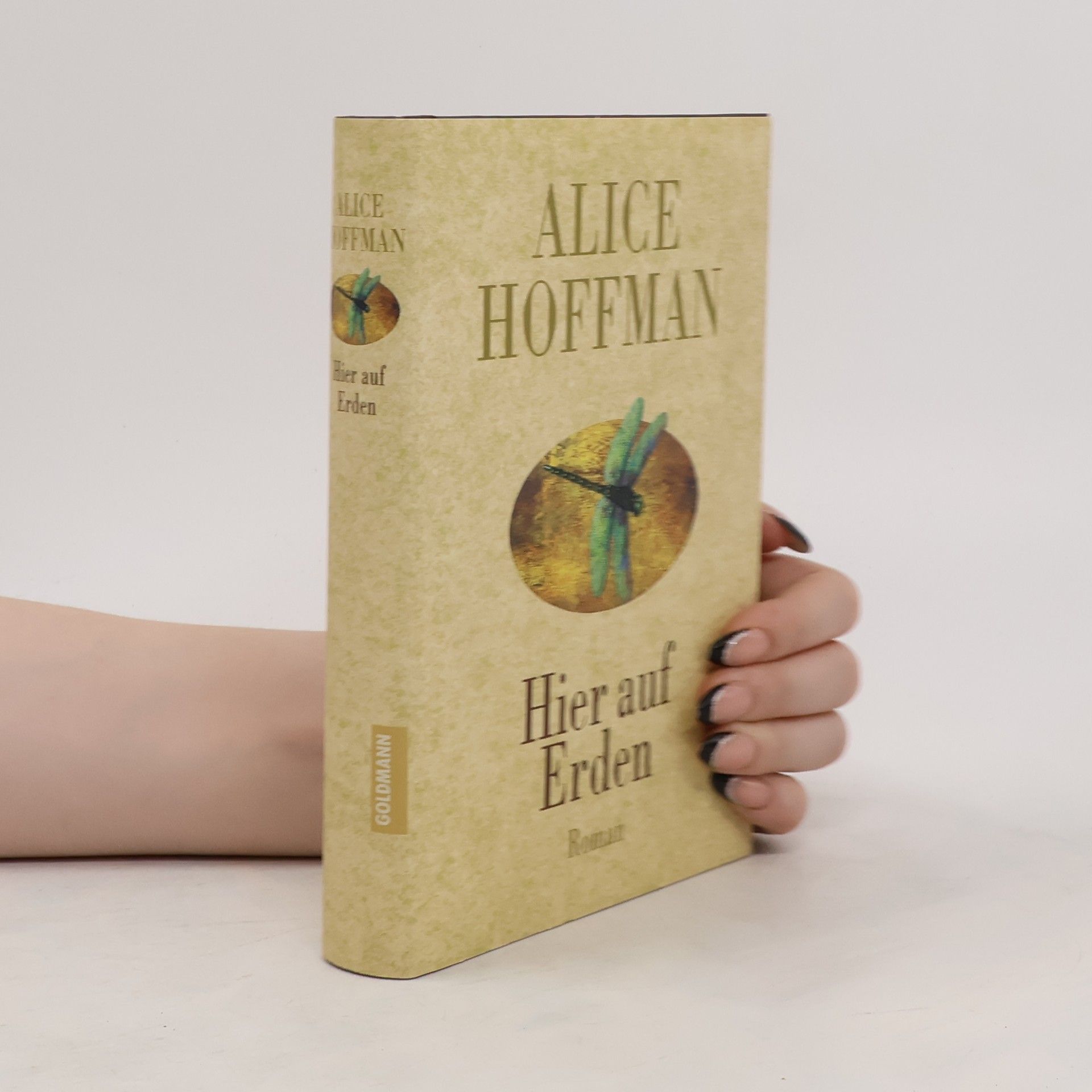 Alice Hoffmann Hier auf Erden