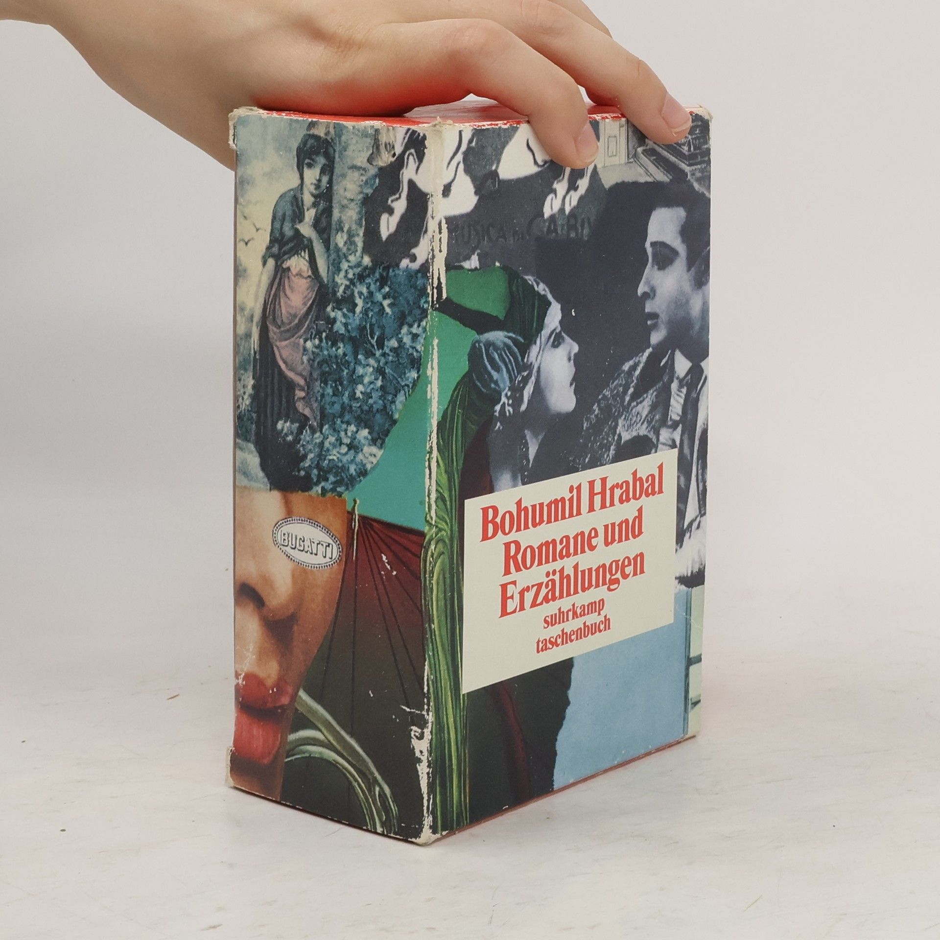 Bohumil Hrabal Romane und Erzählungen