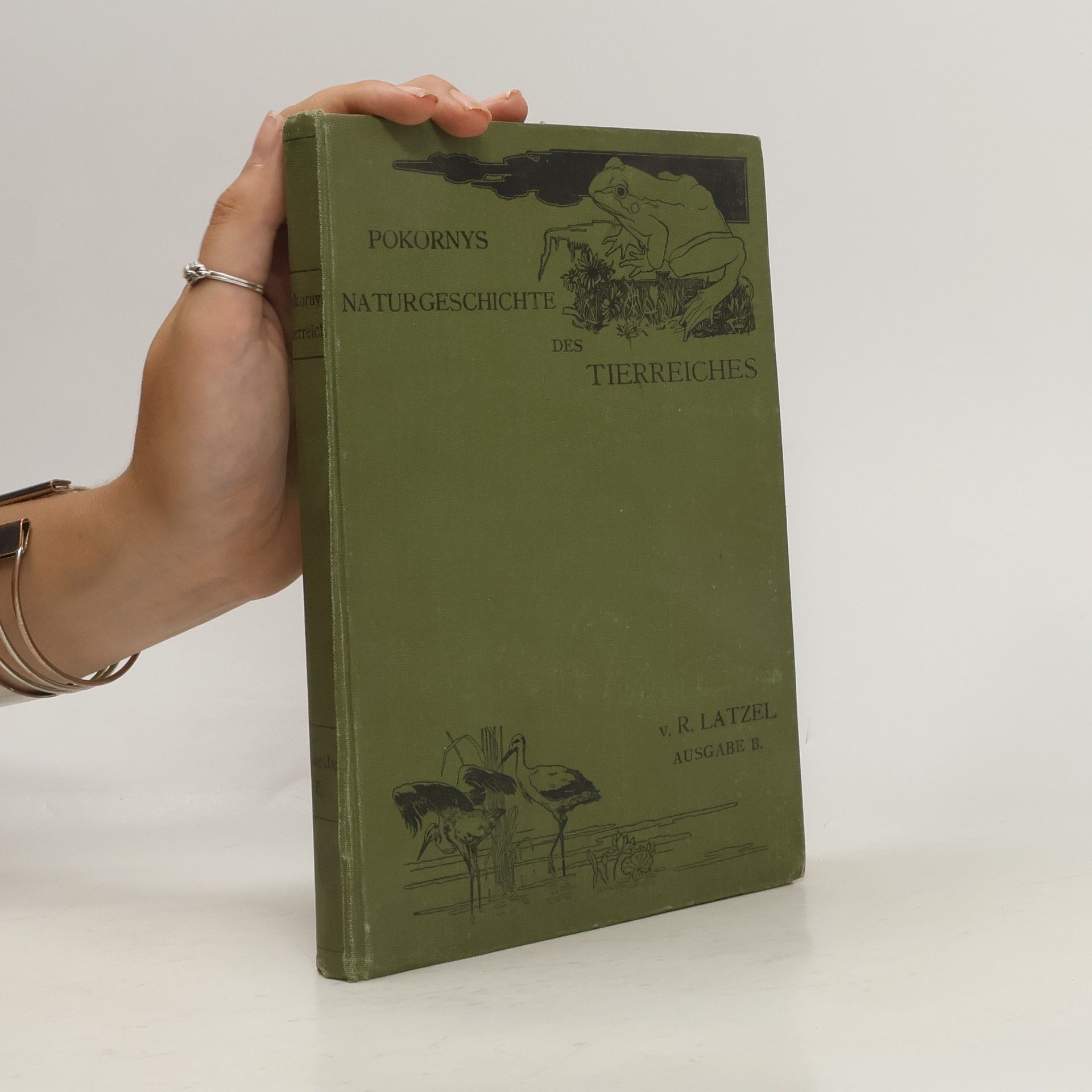 Alois Pokorný Pokorny's Naturgeschichte des Tierreiches für höhere Lehranstalten