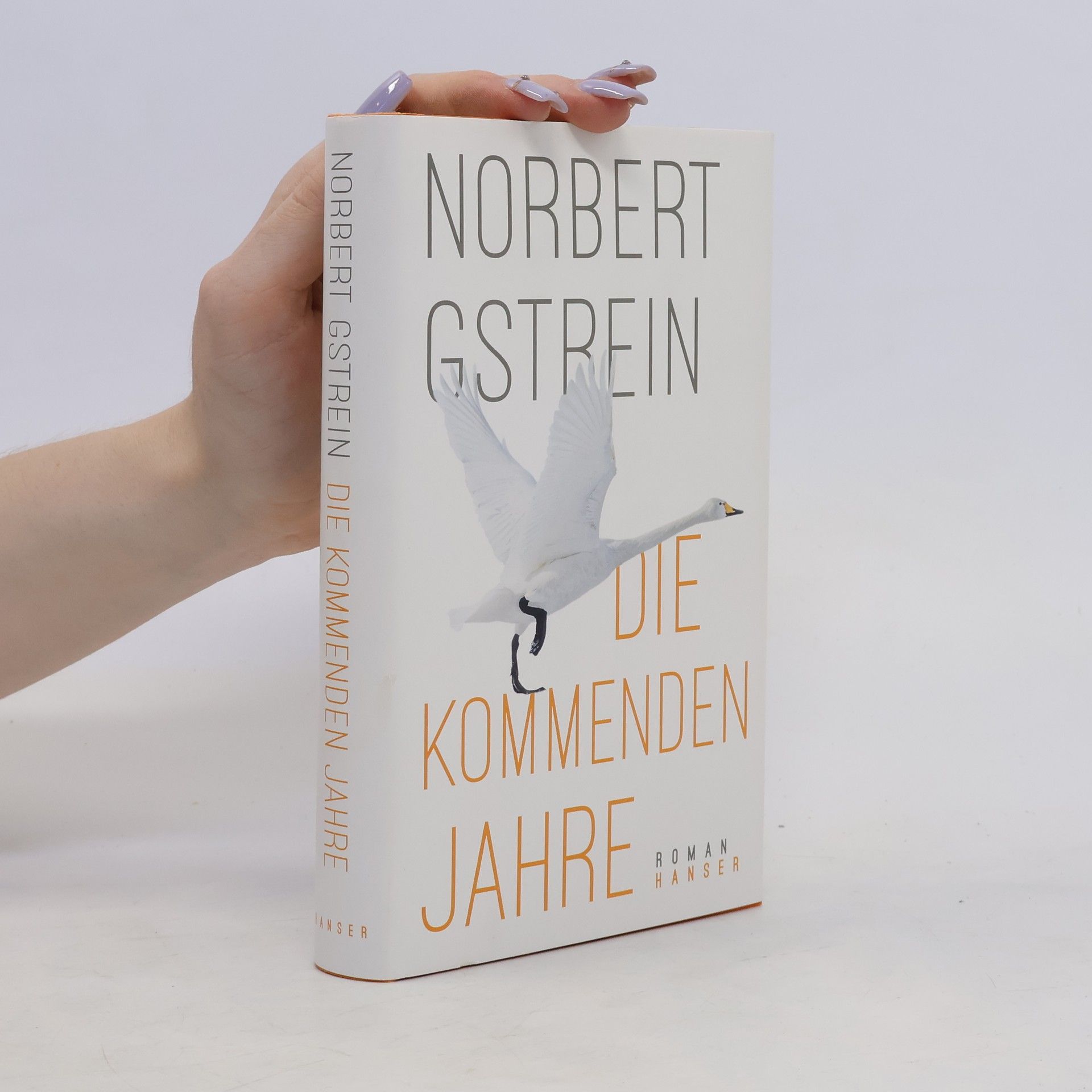 Norbert Gstrein Die kommenden Jahre