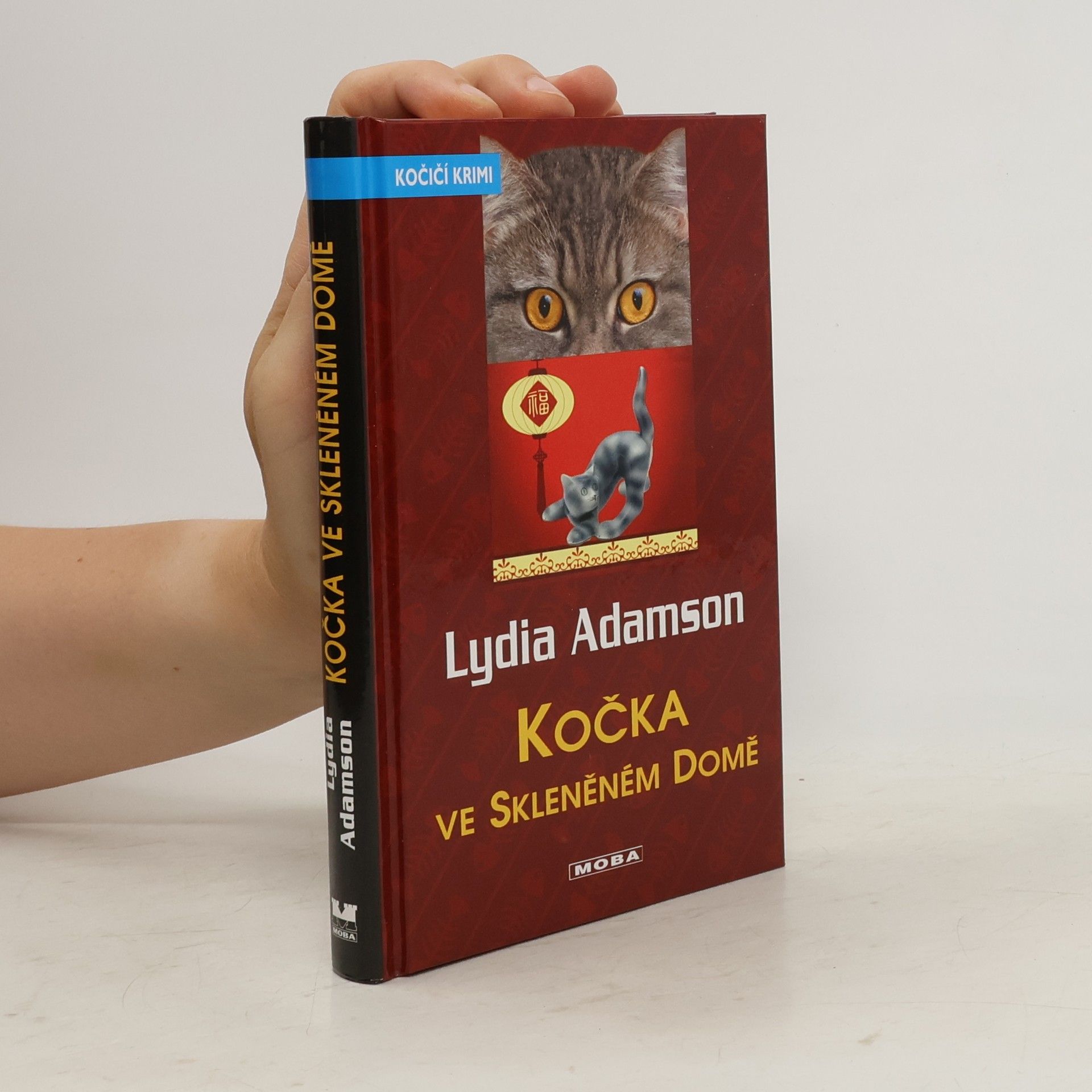 Lydia Adamson Kočka ve skleněném domě