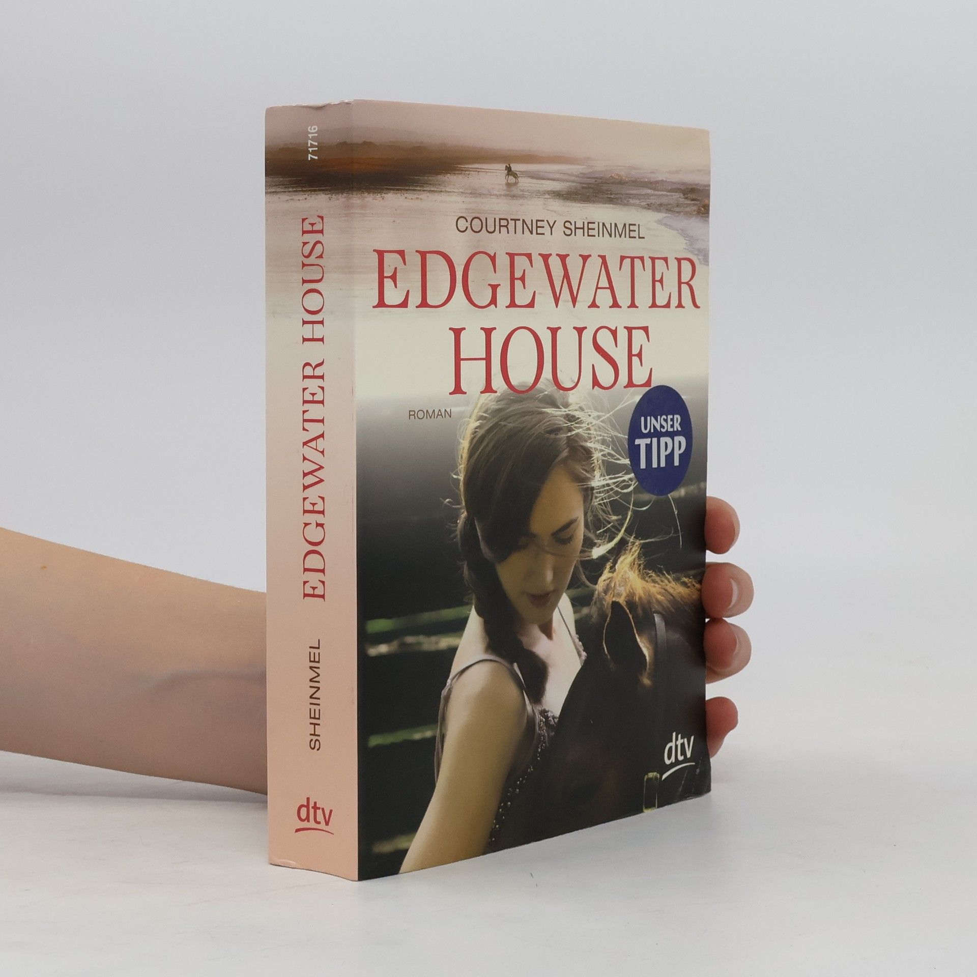 Courtney Sheinmel Edgewater house