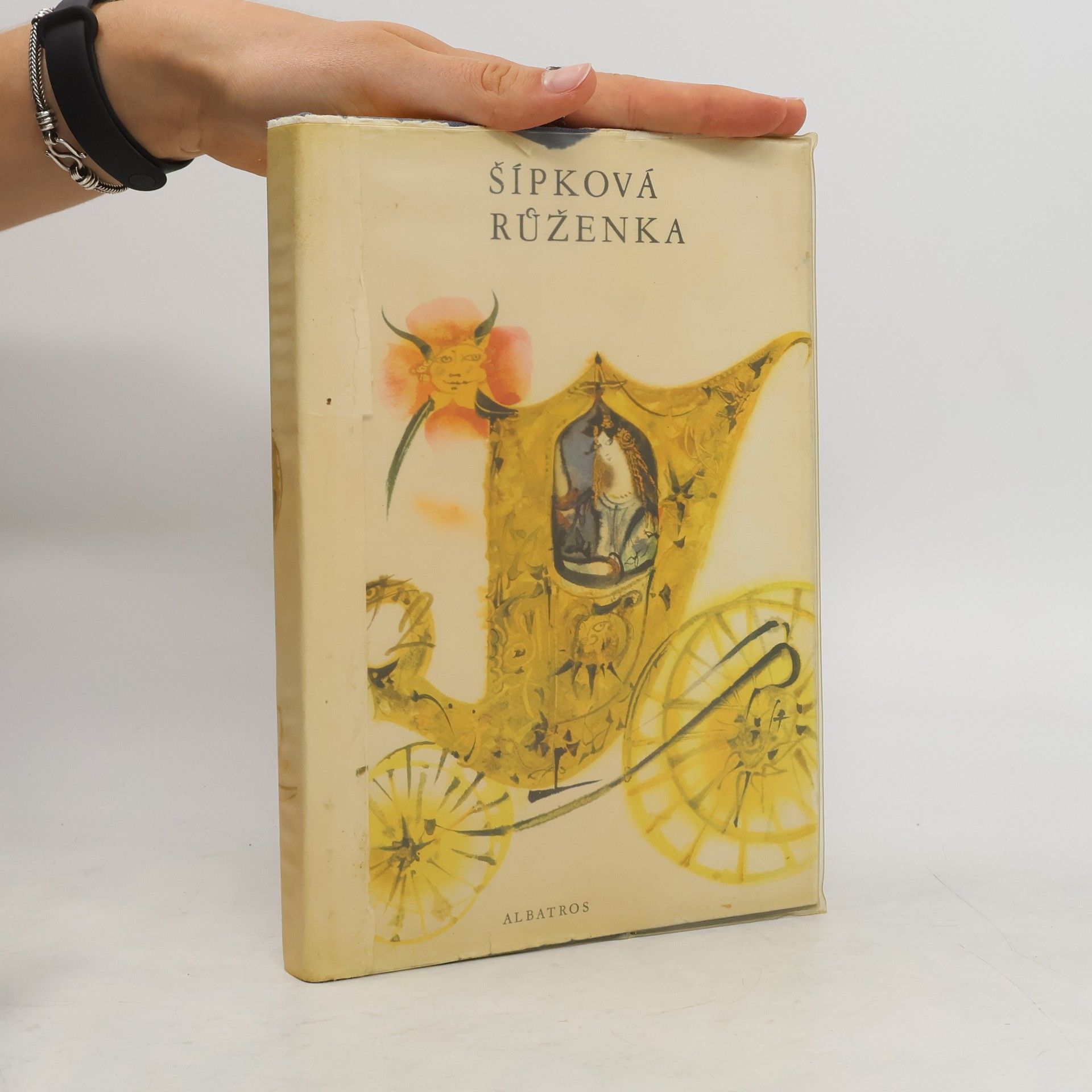Václav Bláha Šípková Růženka