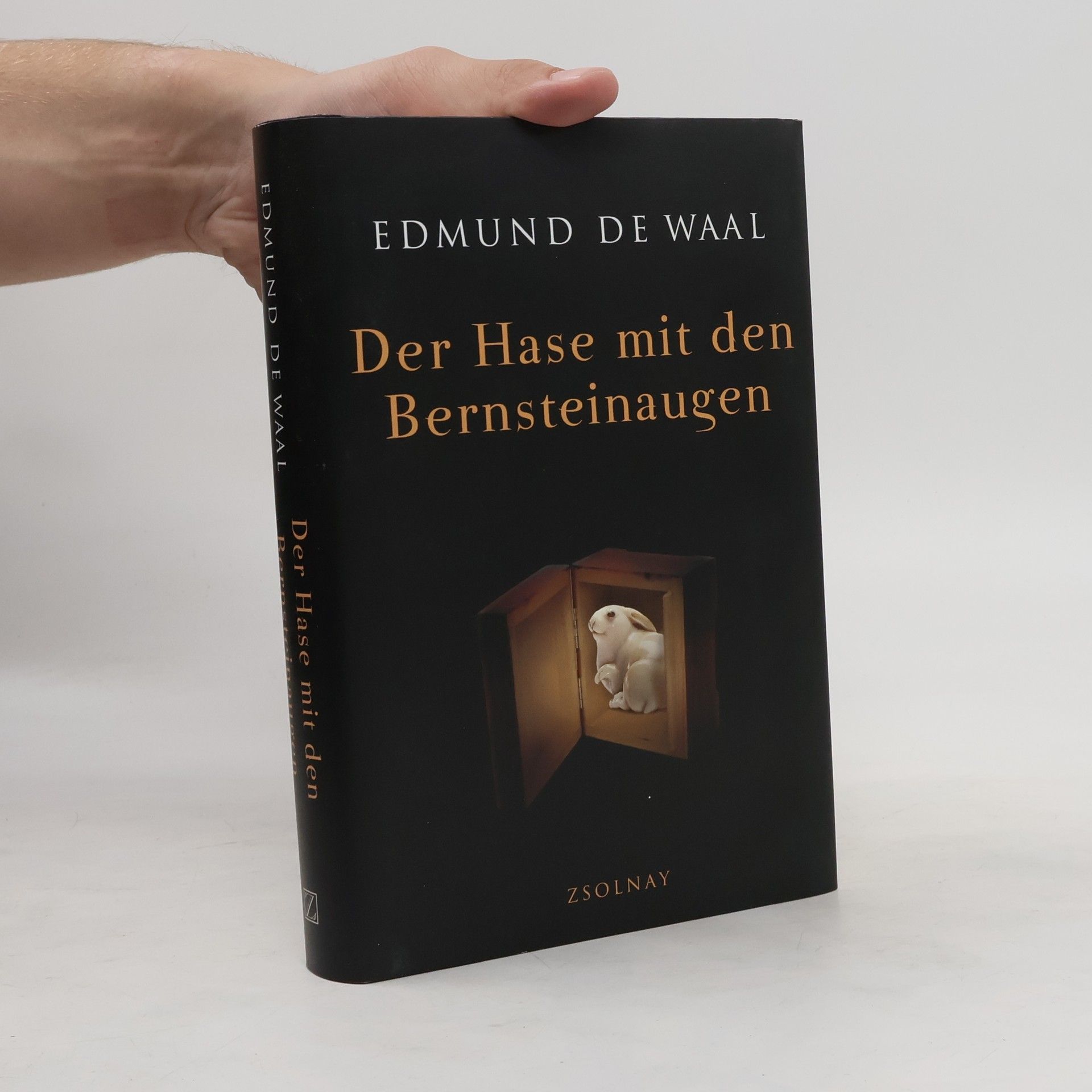 Edmund de Waal Der Hase mit den Bernteinaugen
