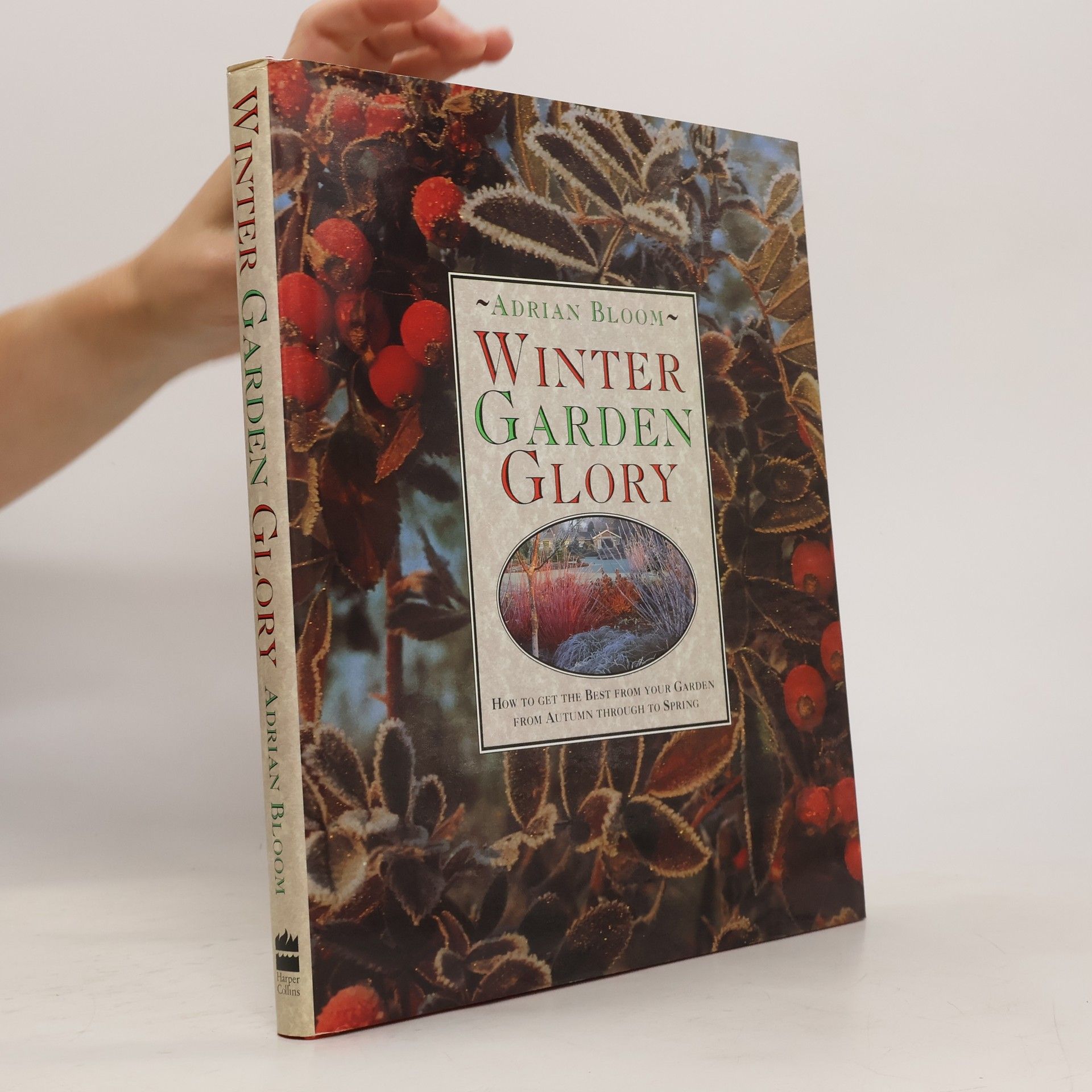 Adrian Bloom Winter Garden Glory