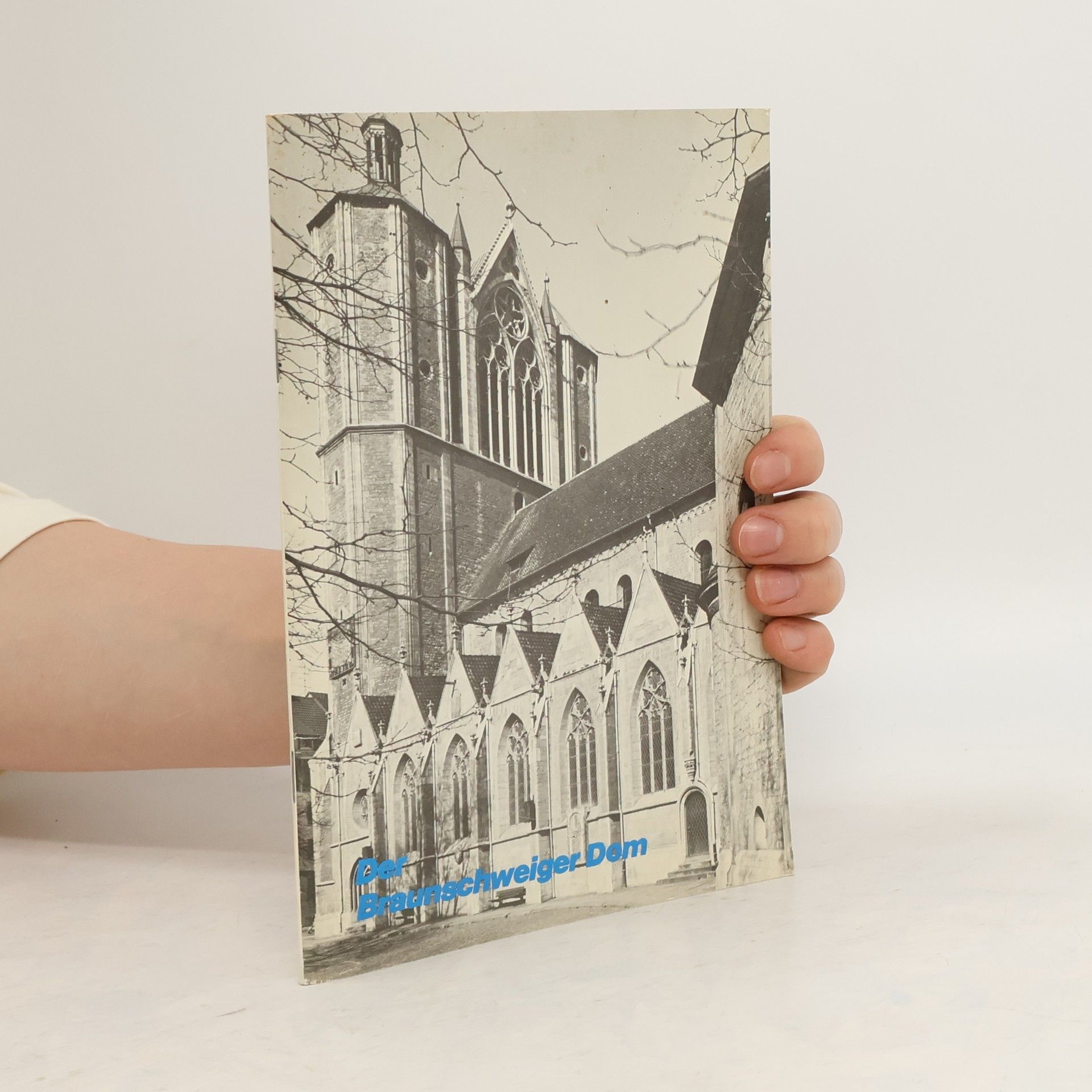 Auteurscollectief Der Braunschweiger Dom