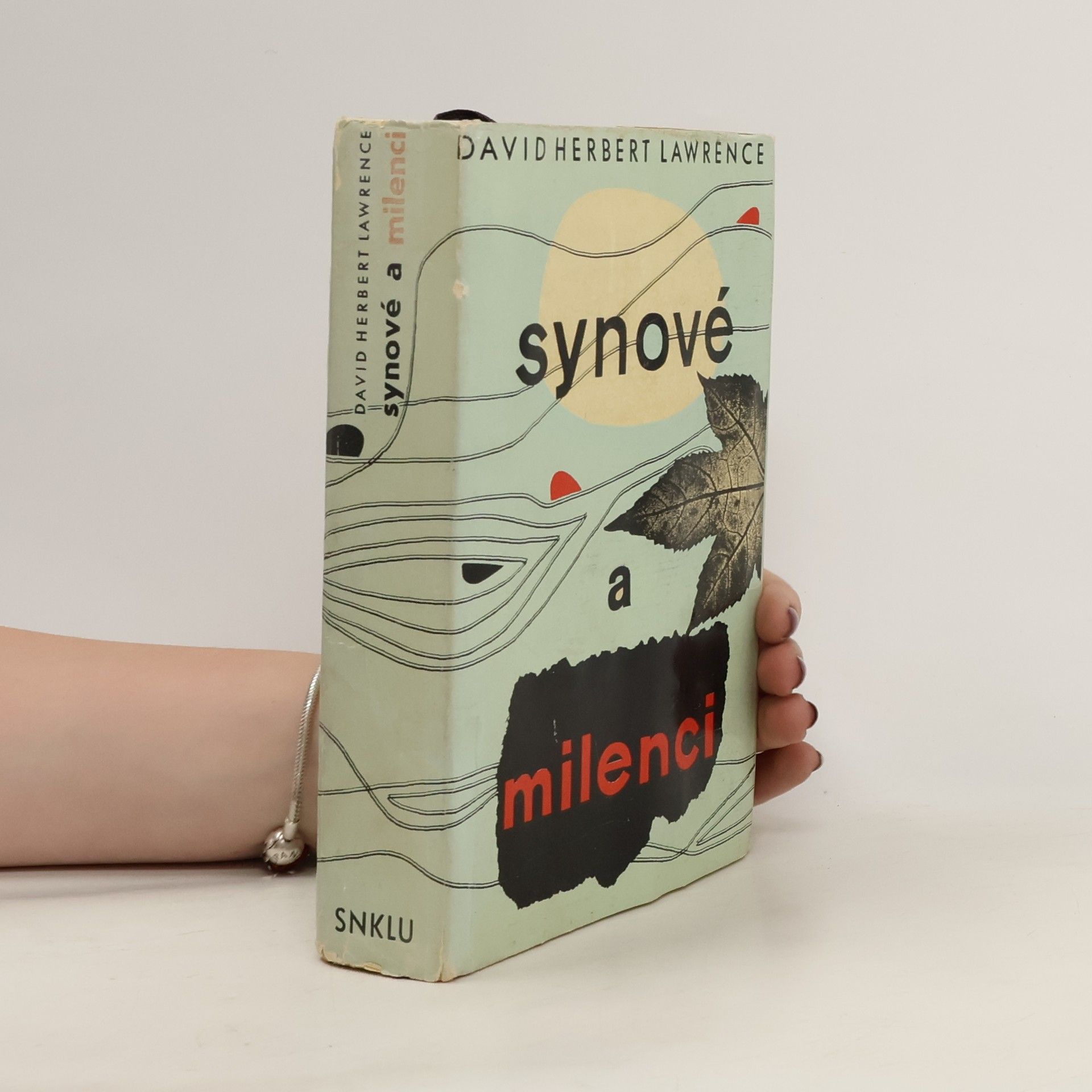 David Herbert Lawrence Synové a milenci