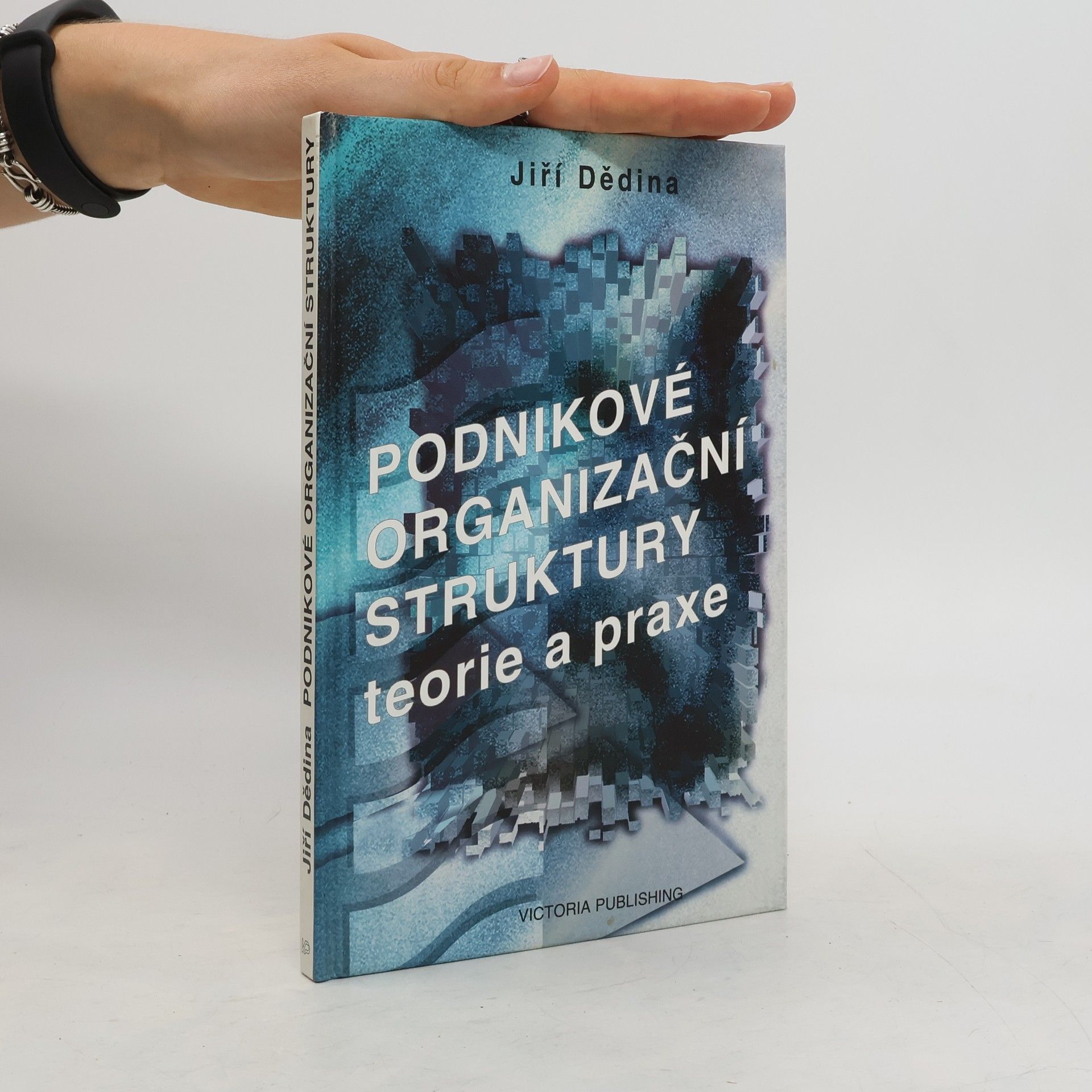 Jiří Dědina Podnikové organizační struktury. Teorie a praxe