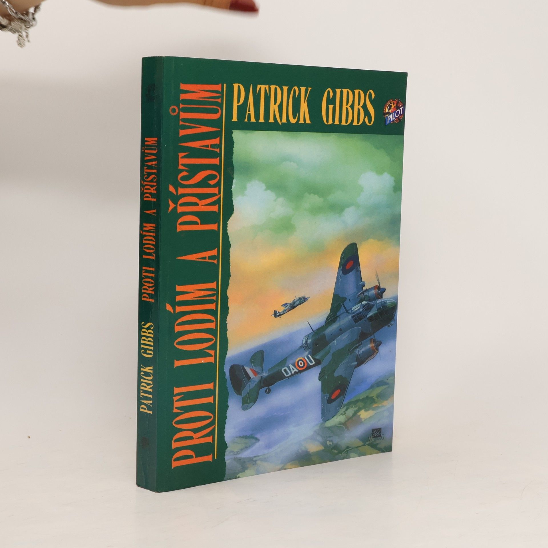 Gibbs Patrick Proti lodím a přístavům