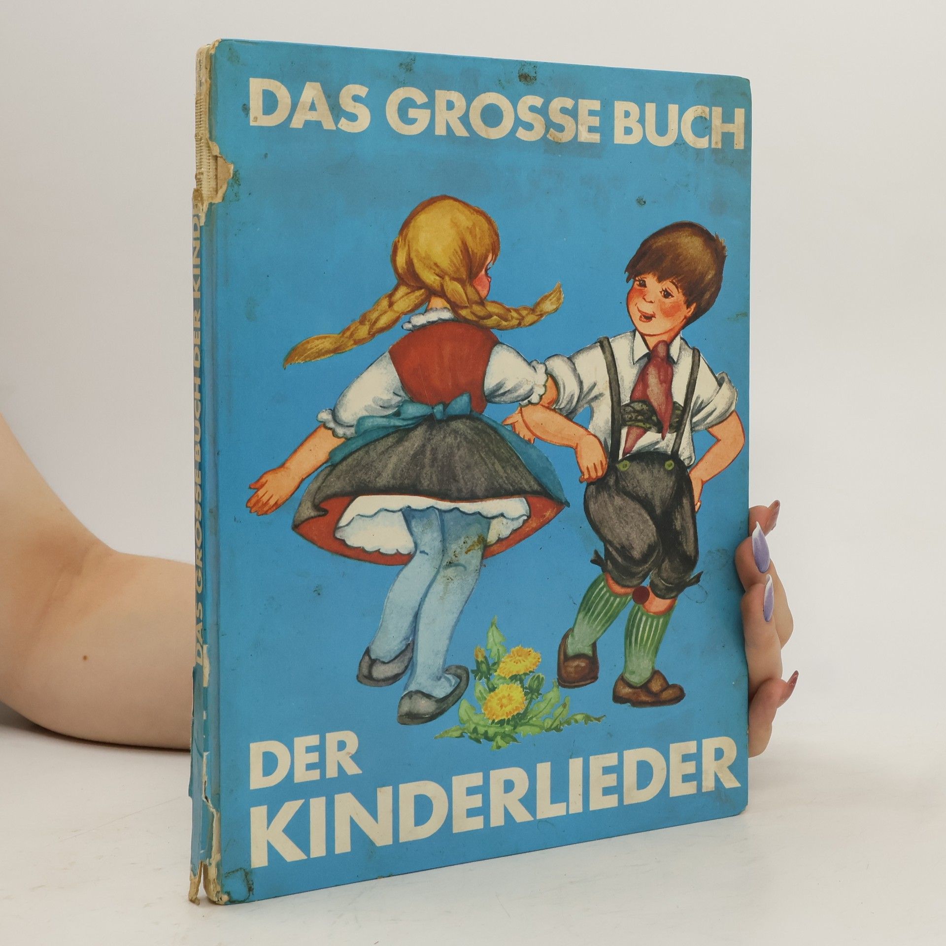 Autorenkollektiv Das grosse Buch der Kinderlieder