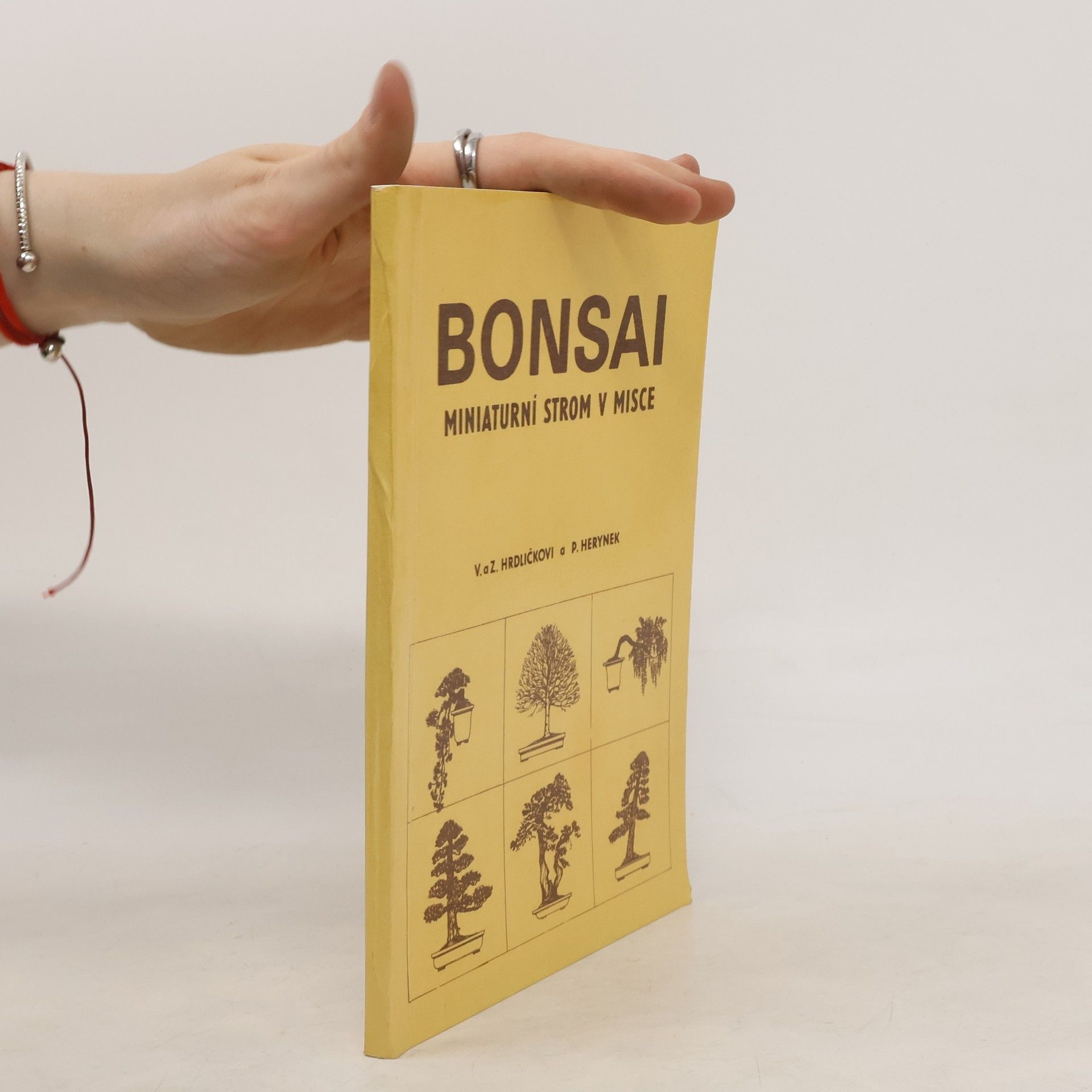 Zdeněk Hrdlička Bonsai. Miniaturní strom v misce