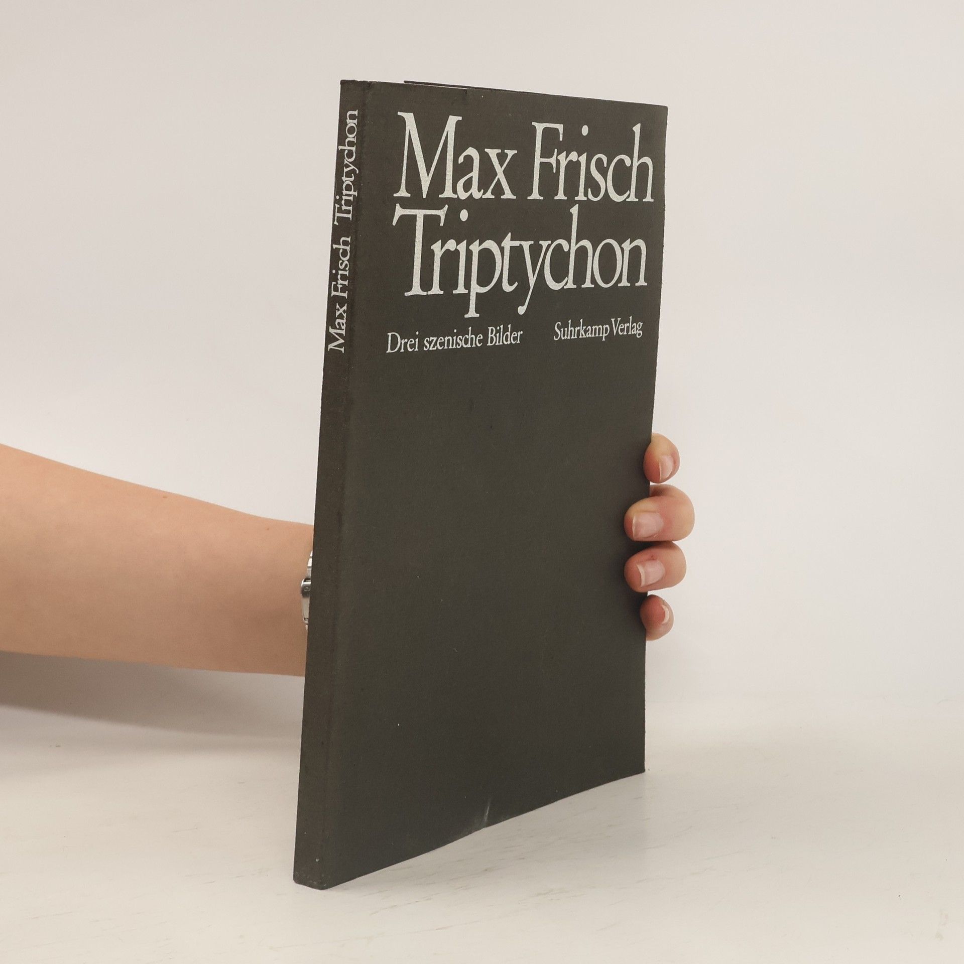 Max Frisch Triptychon