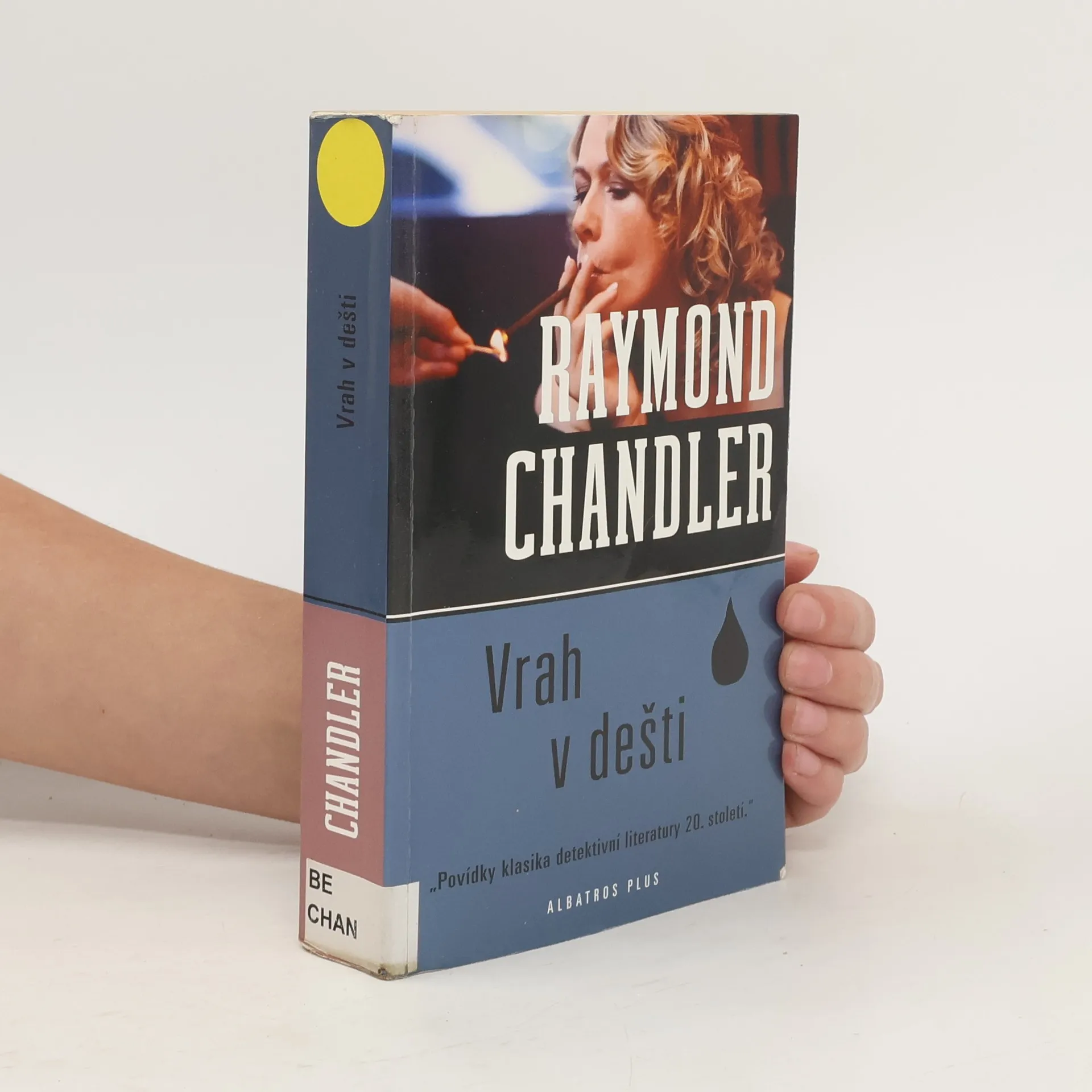 Vrah v dešti | Libro | Raymond Chandler | CS