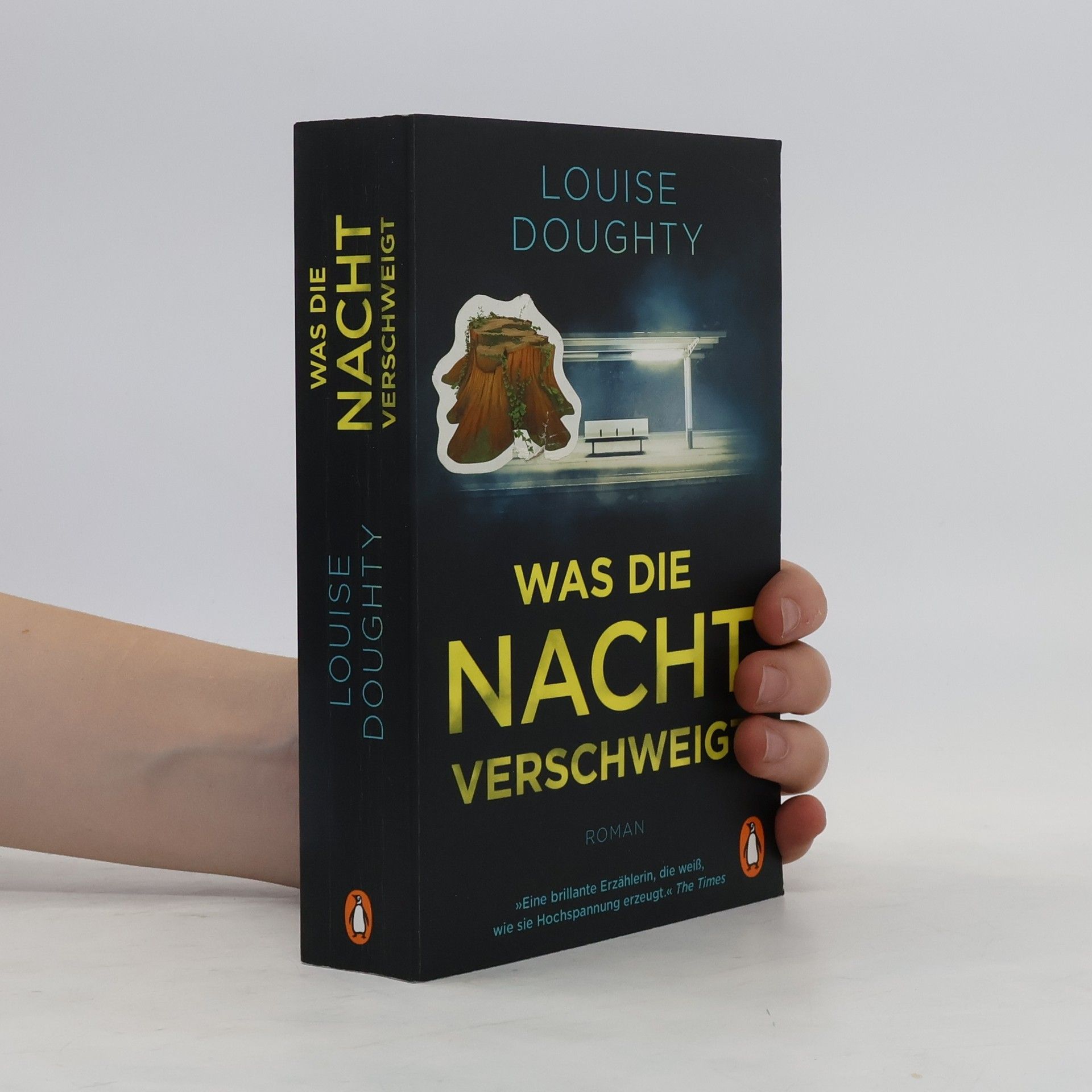 Louise Doughty Was die Nacht verschweigt