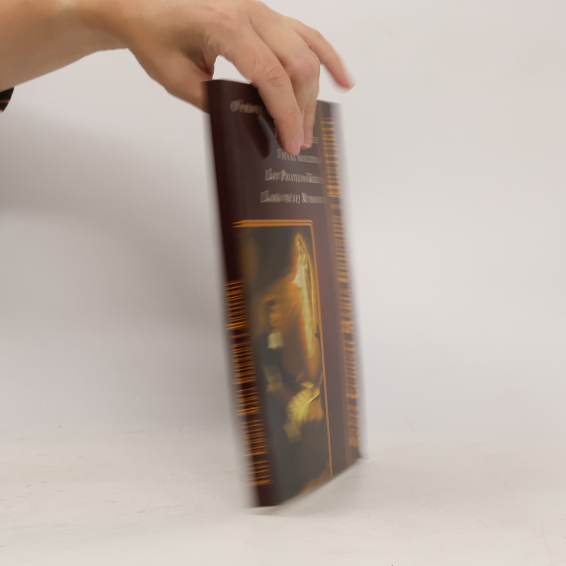 z. Montfortu Grignion O pravej úcte k Panne Márii