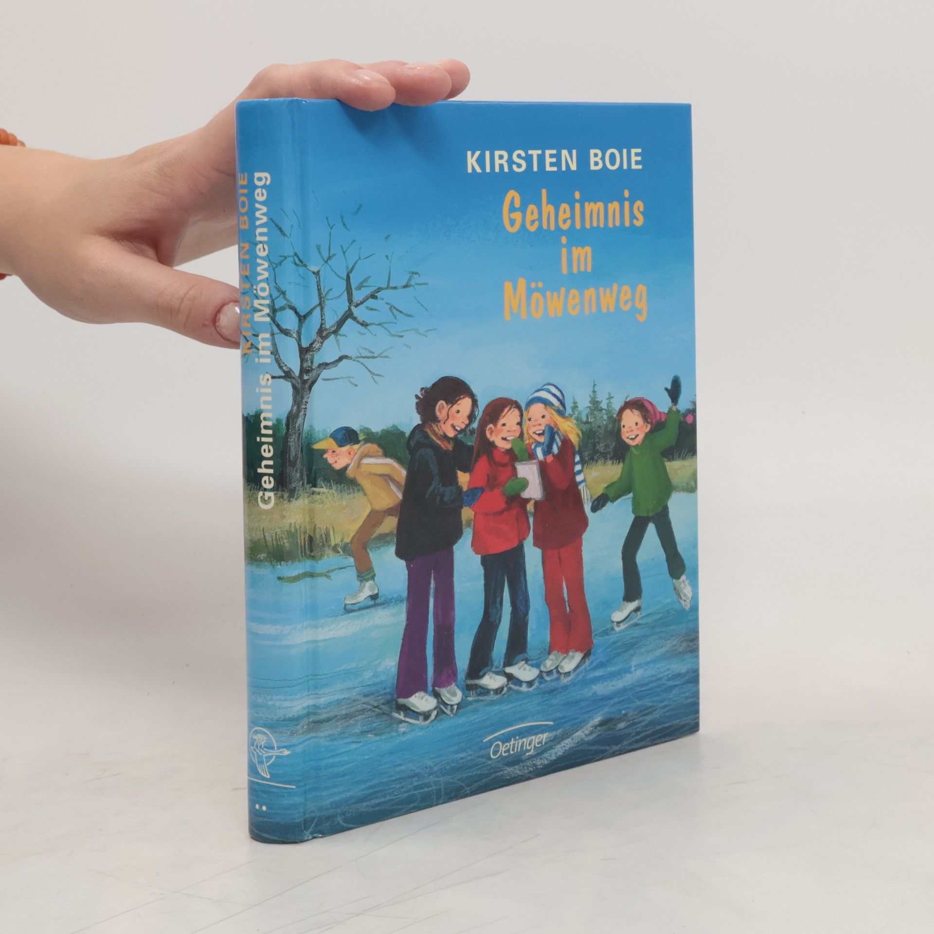 Kirsten Boie Geheimnis im Möwenweg