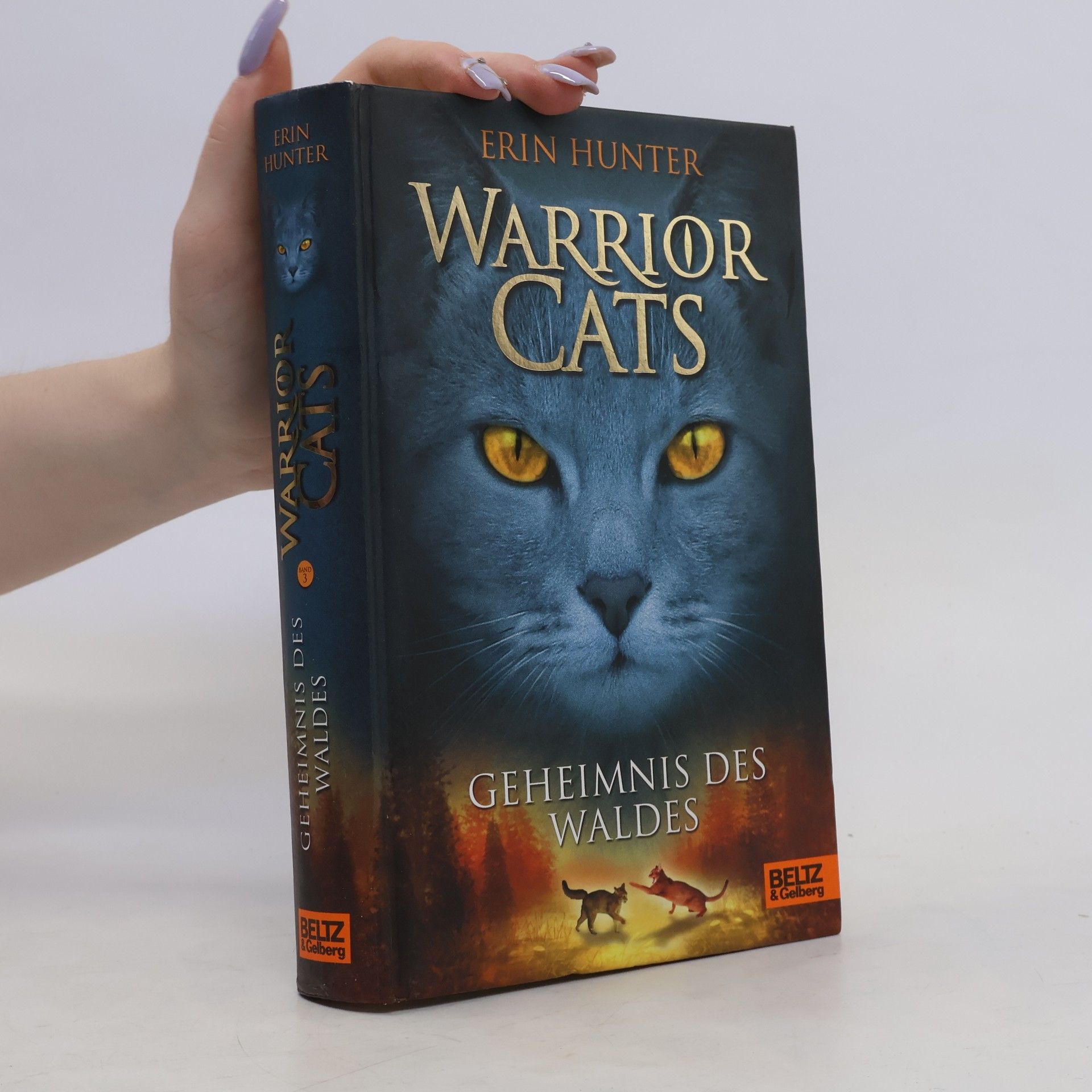 Erin Hunter Warrior Cats. Geheimnis des Waldes.