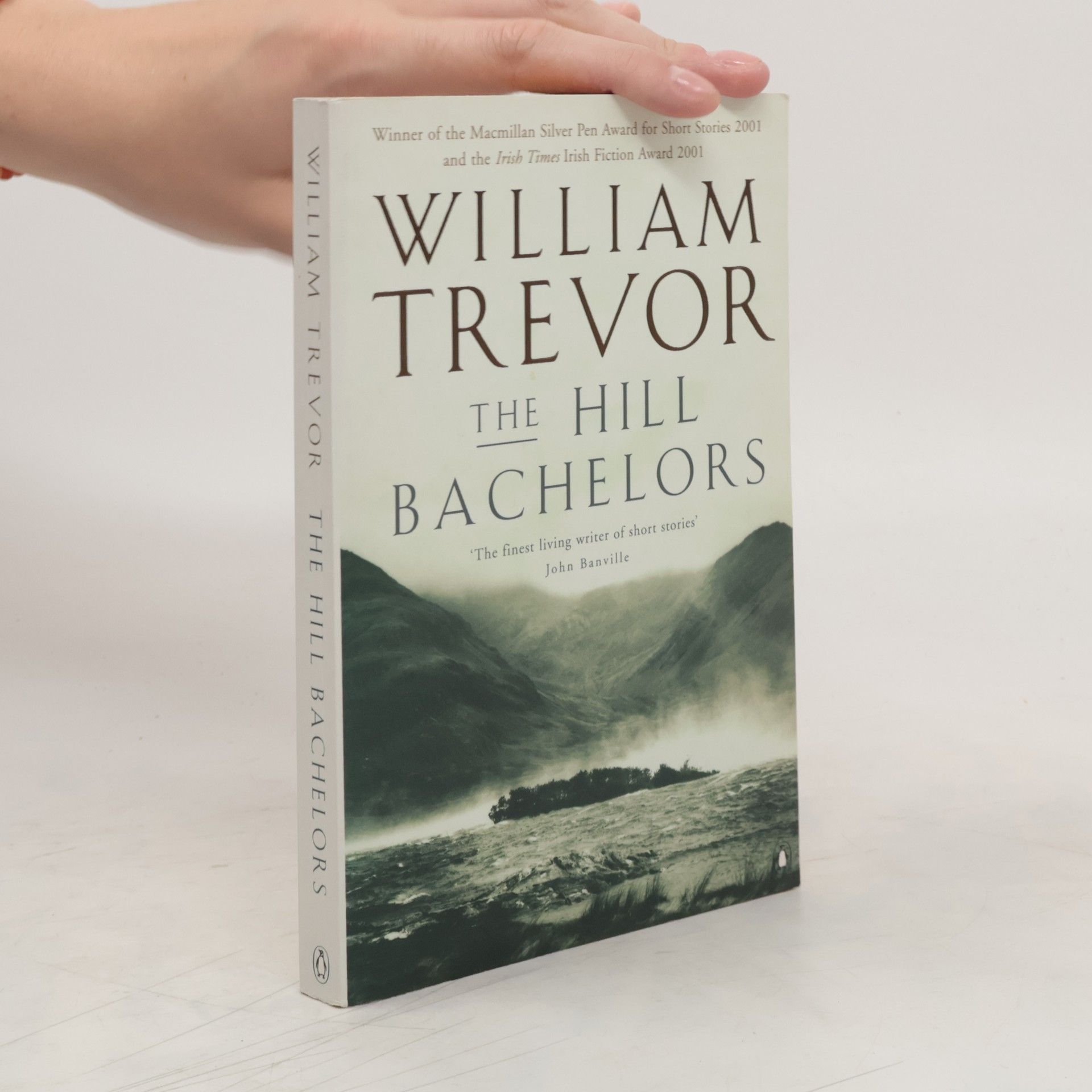 William Trevor The Hill Bachelors