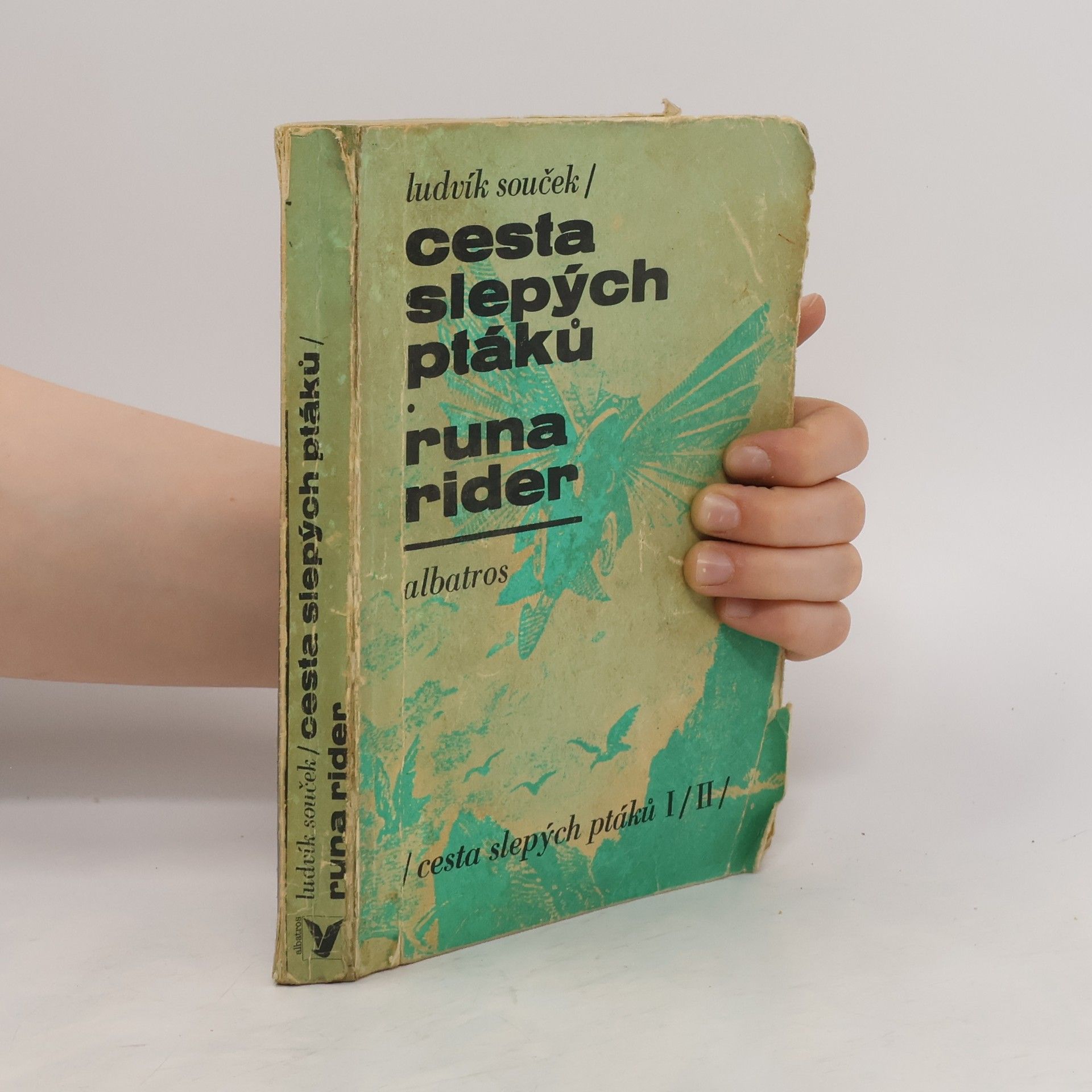 Ludvík Souček Cesta slepých ptáků. Runa rider