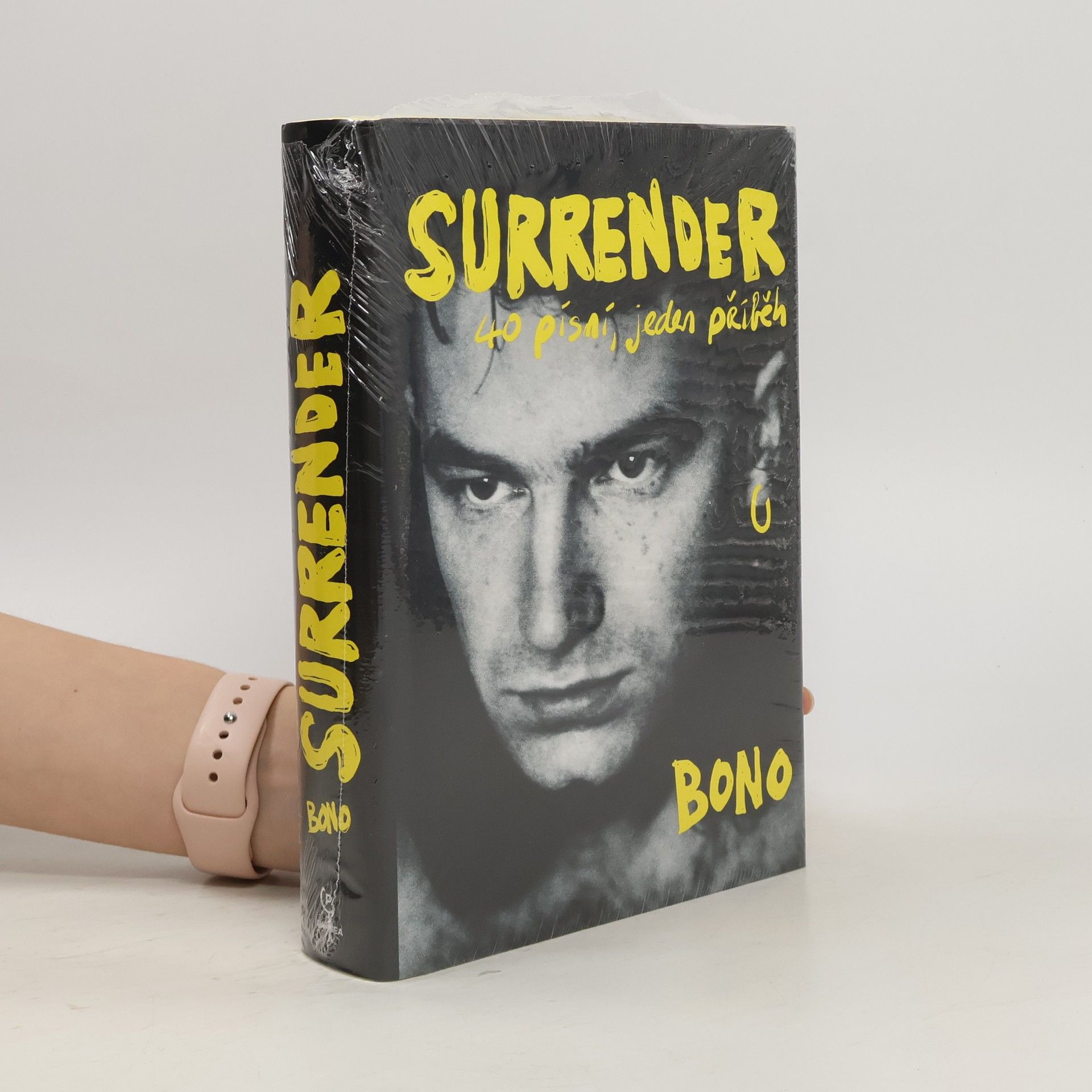 Bono Surrender : 40 písní, jeden příběh