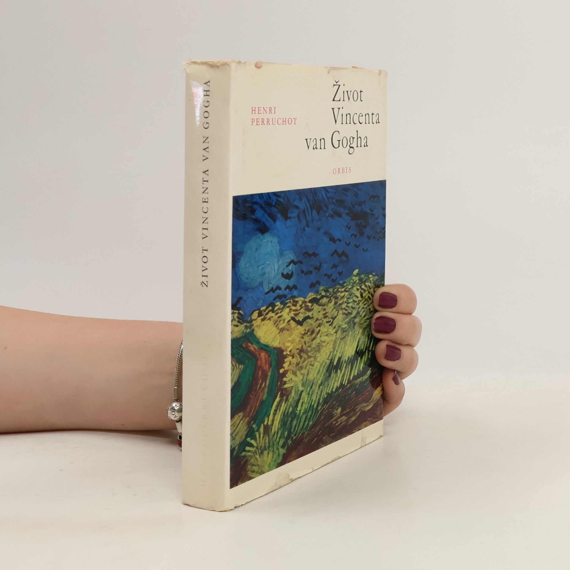Henri Perruchot Život Vincenta van Gogha