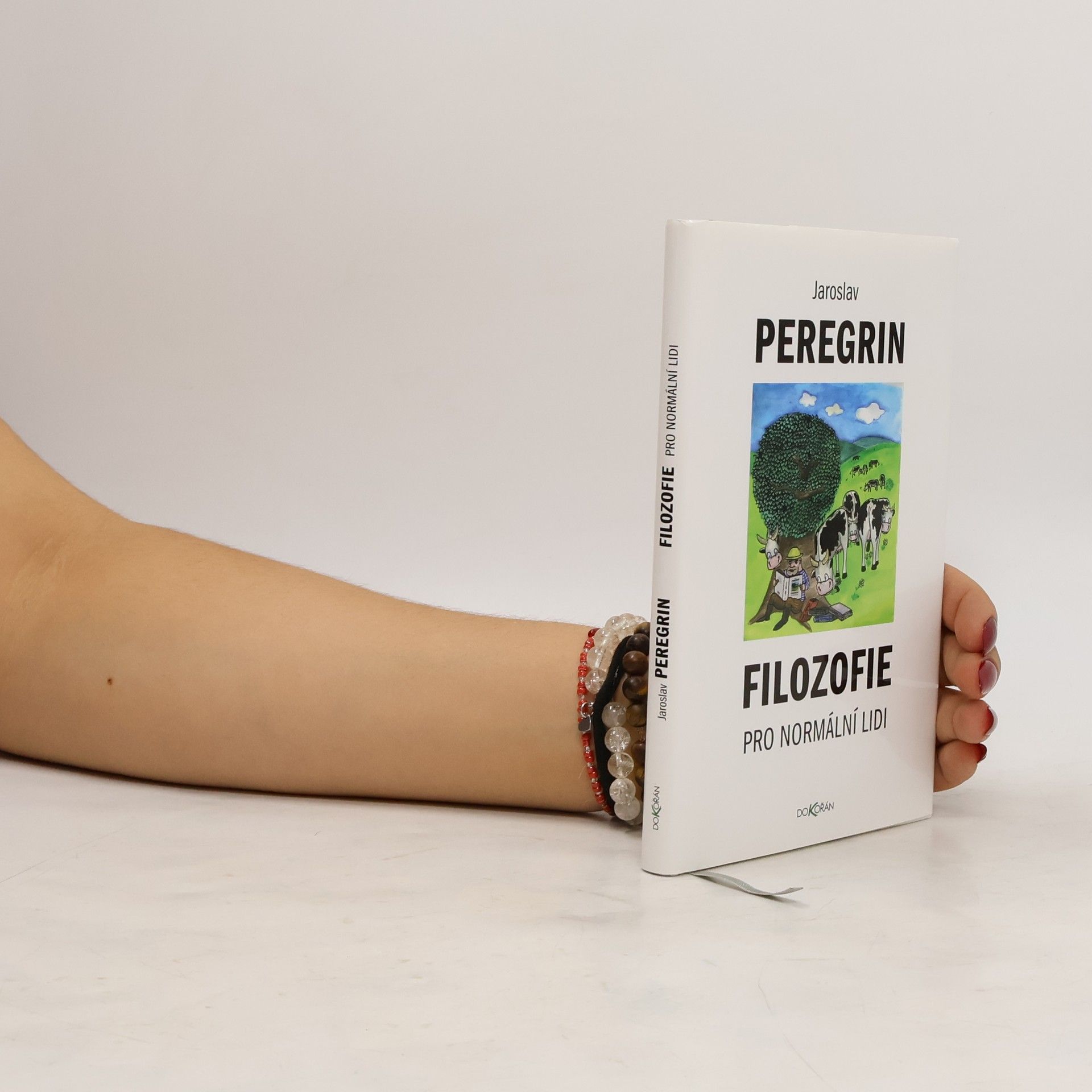 Jaroslav Peregrin Filozofie pro normální lidi