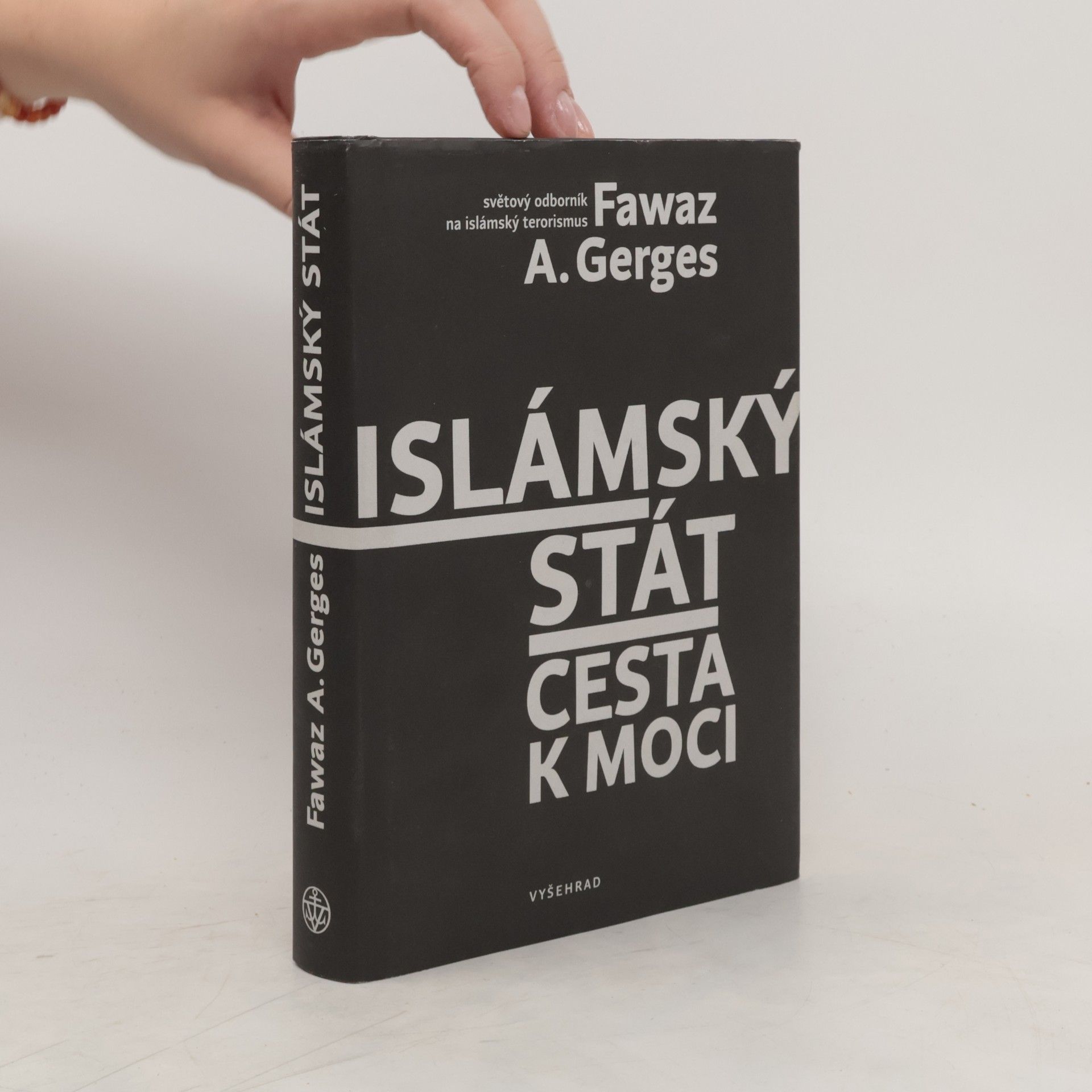 Fawaz A. Gerges Islámský stát : cesta k moci